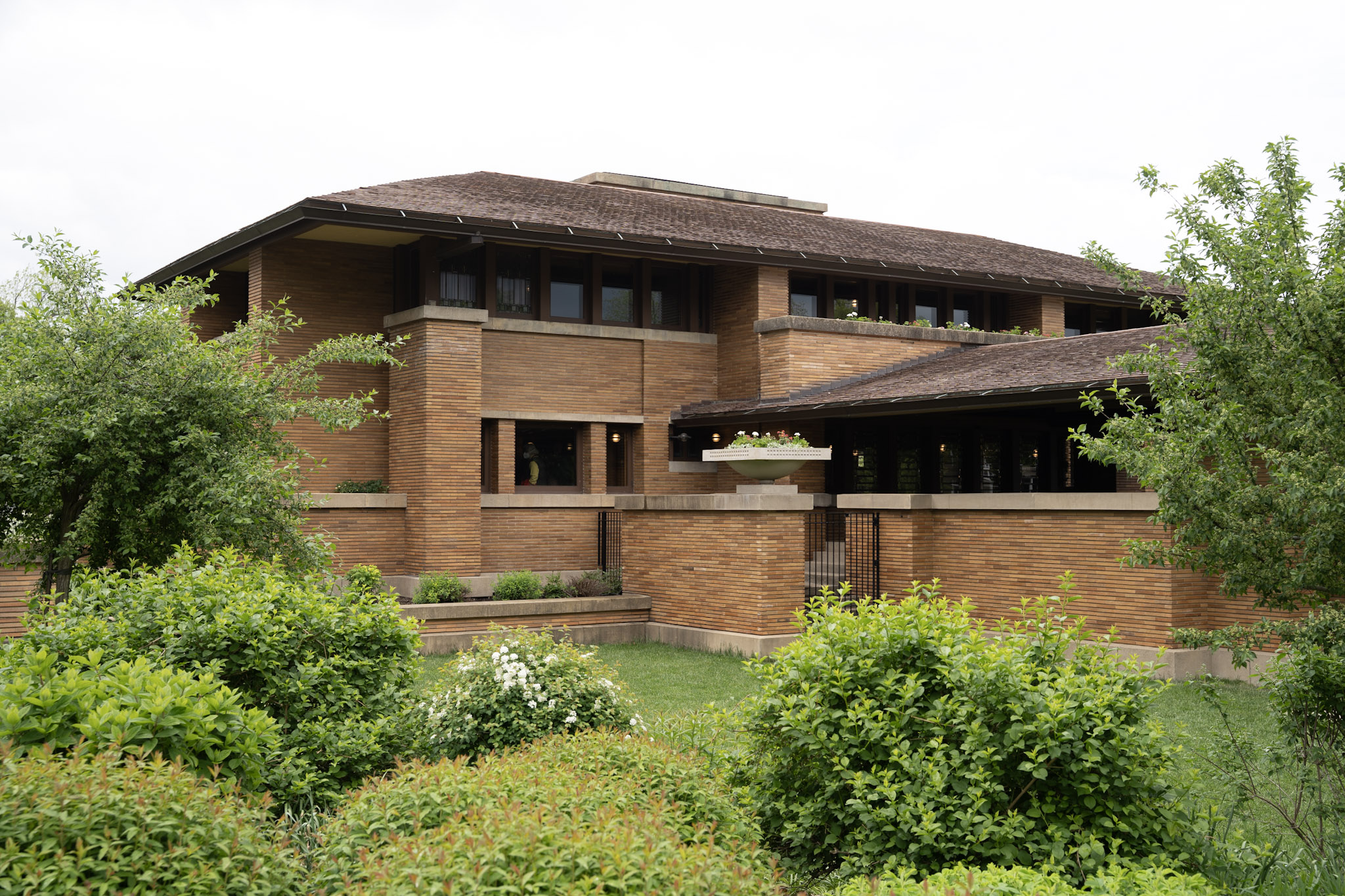 Martin House