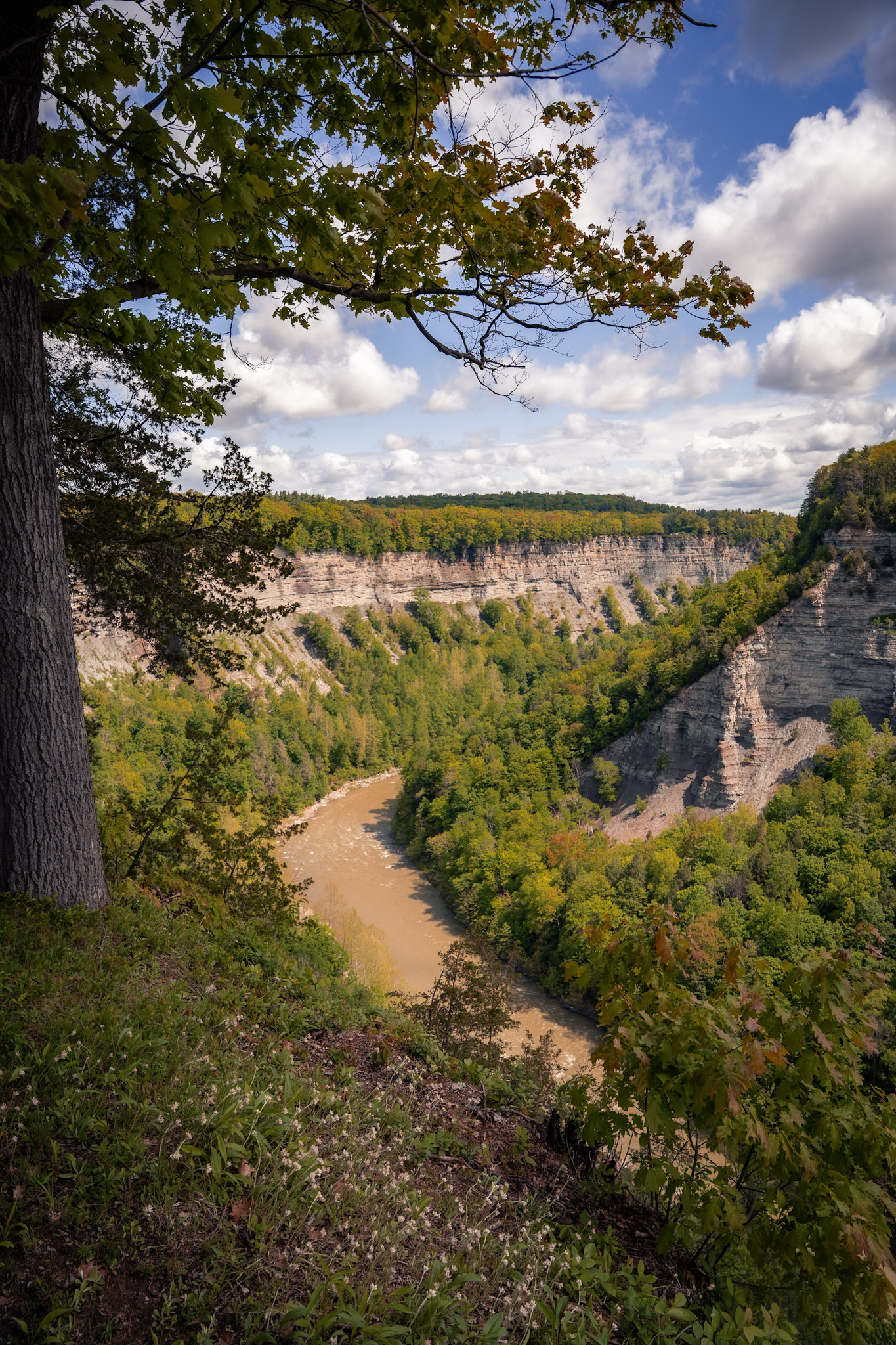 Letchworth State Park - foto 6