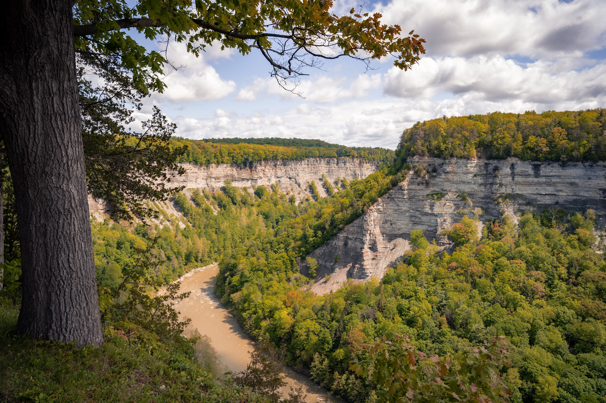 Letchworth State Park - foto 14
