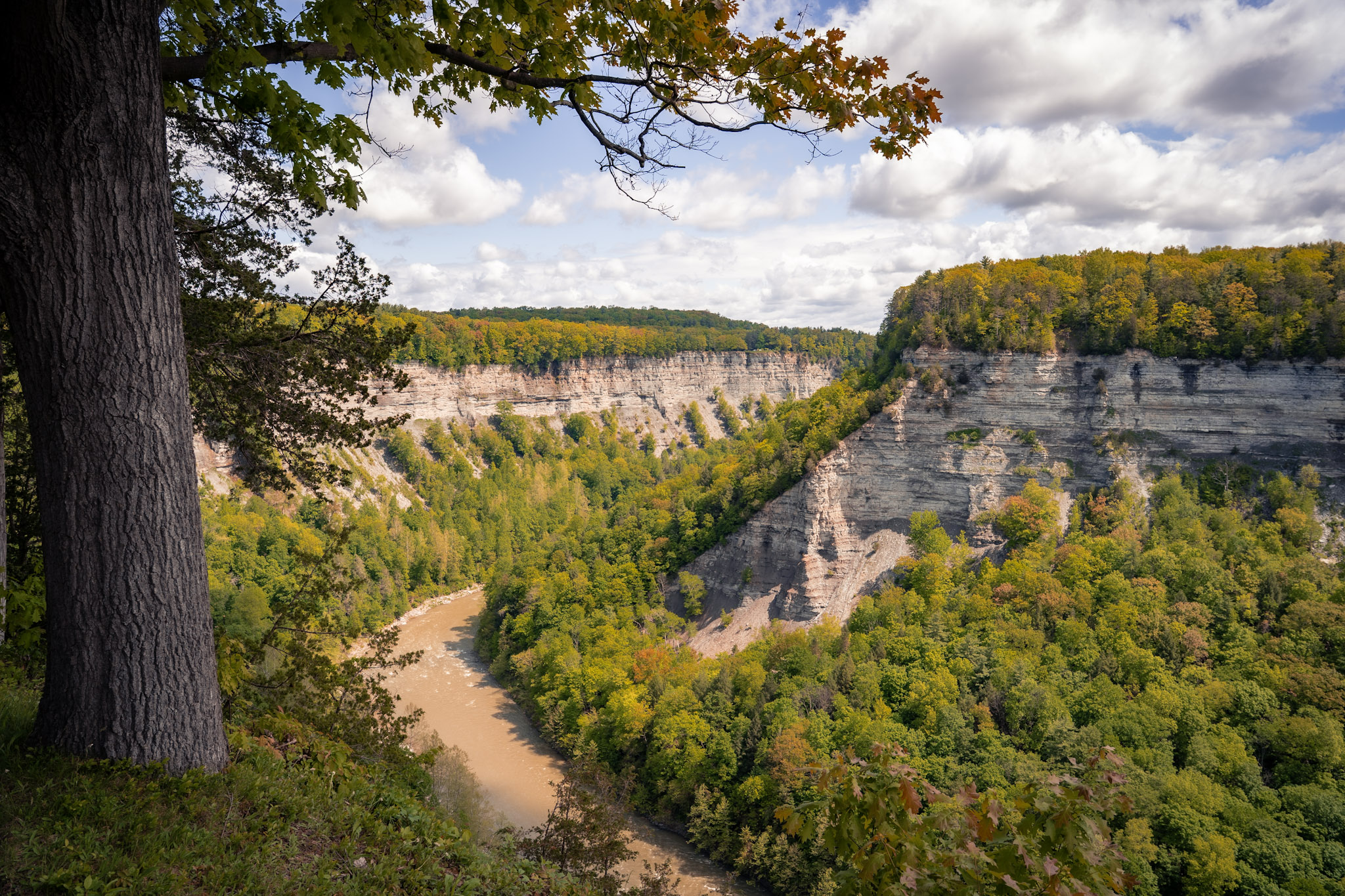 Letchworth State Park - foto 15