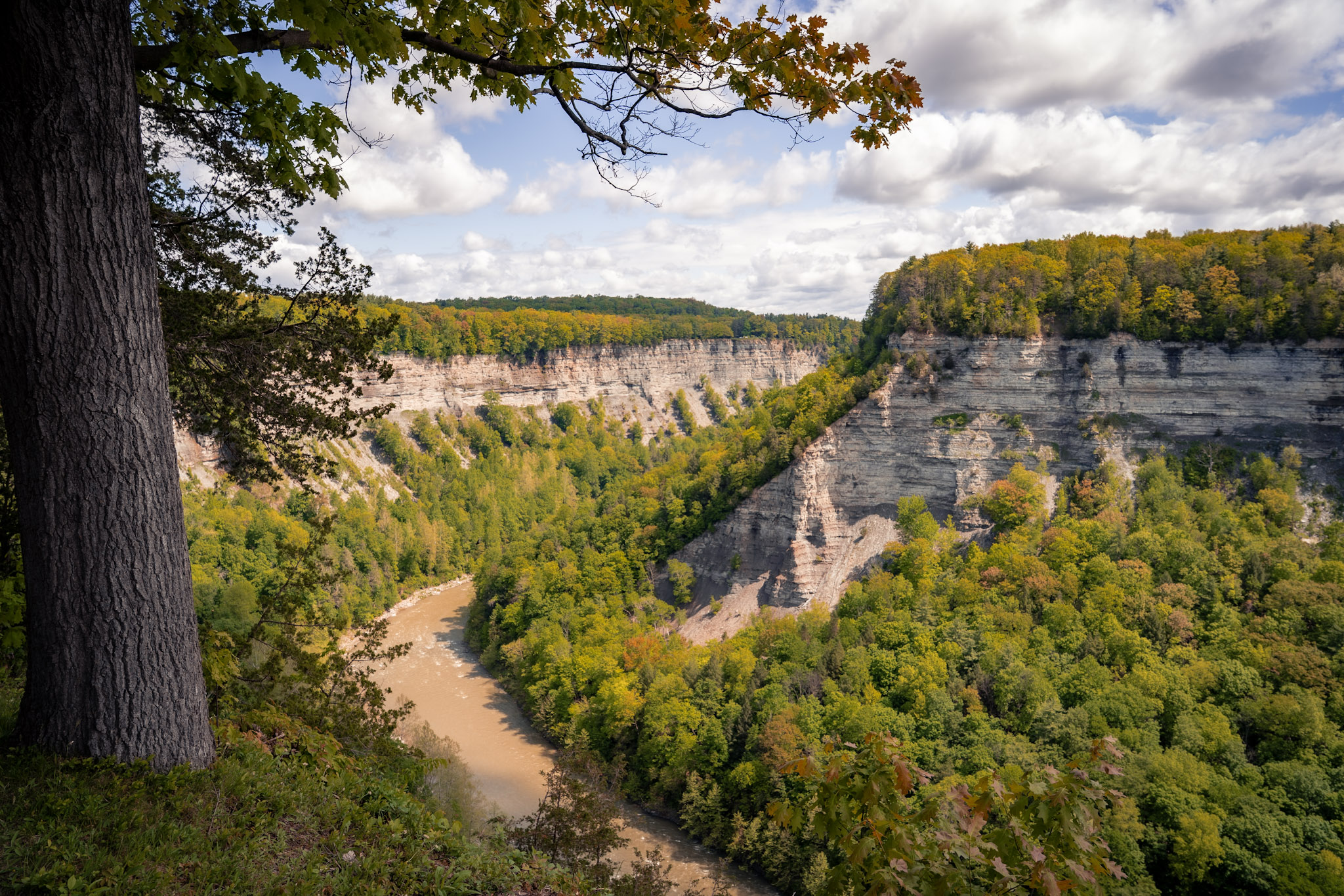Letchworth State Park - foto 18