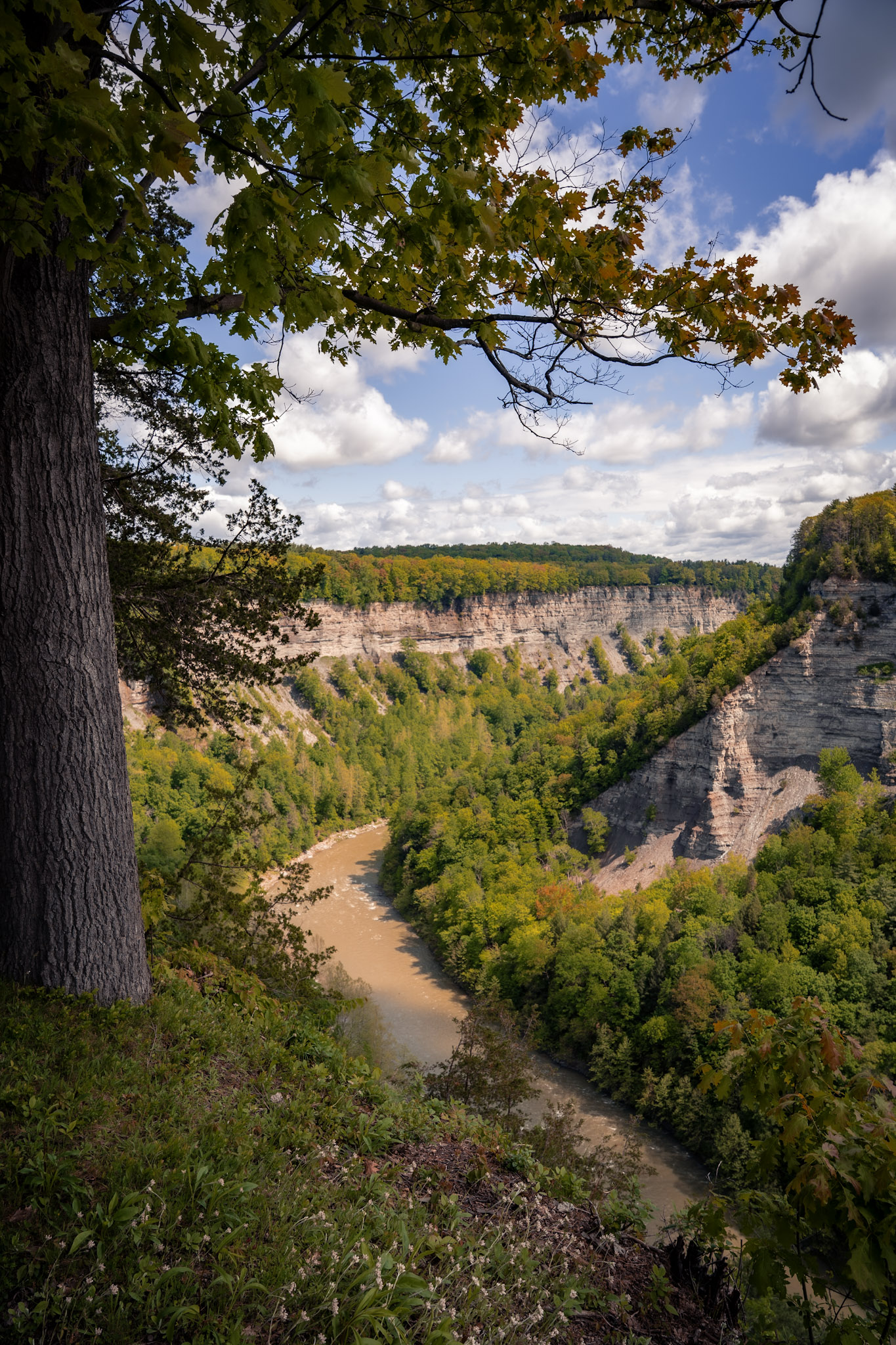 Letchworth State Park - foto 19