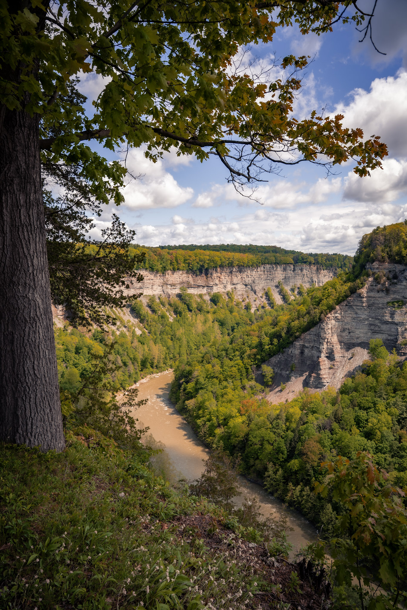 Letchworth State Park - foto 20