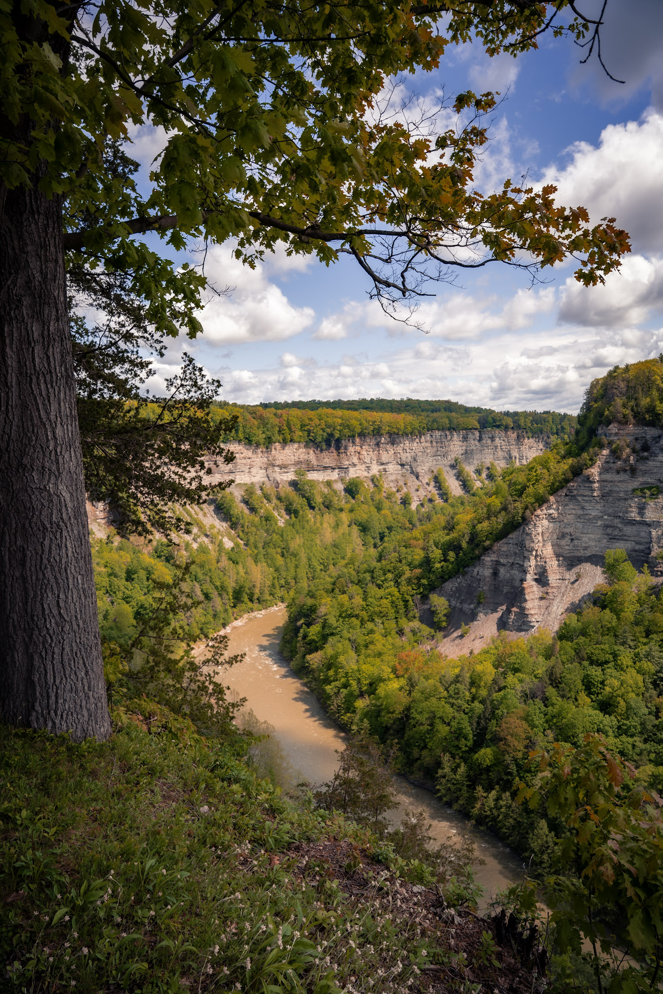Letchworth State Park - foto 21
