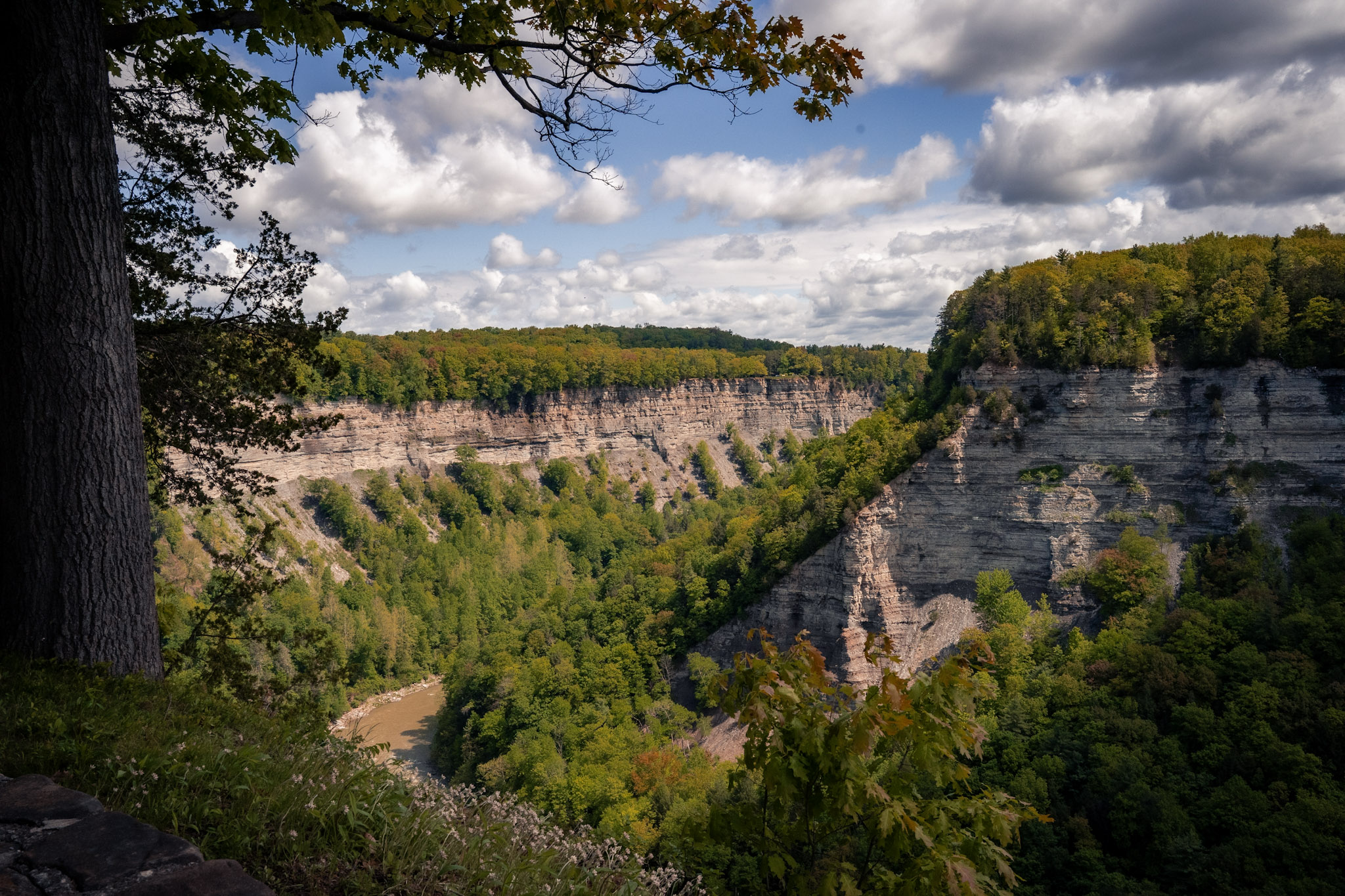 Letchworth State Park - foto 38