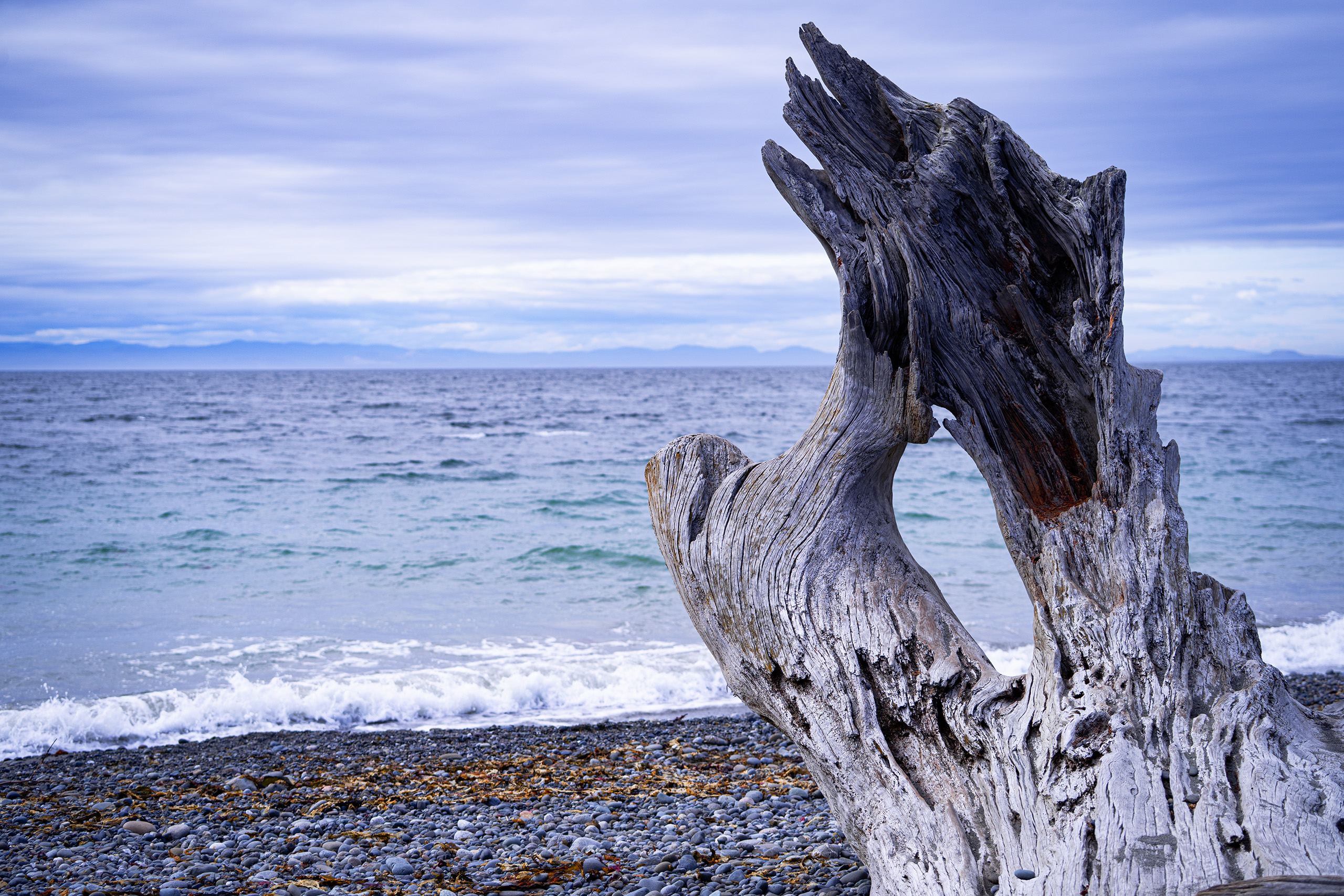 Dungeness Spit