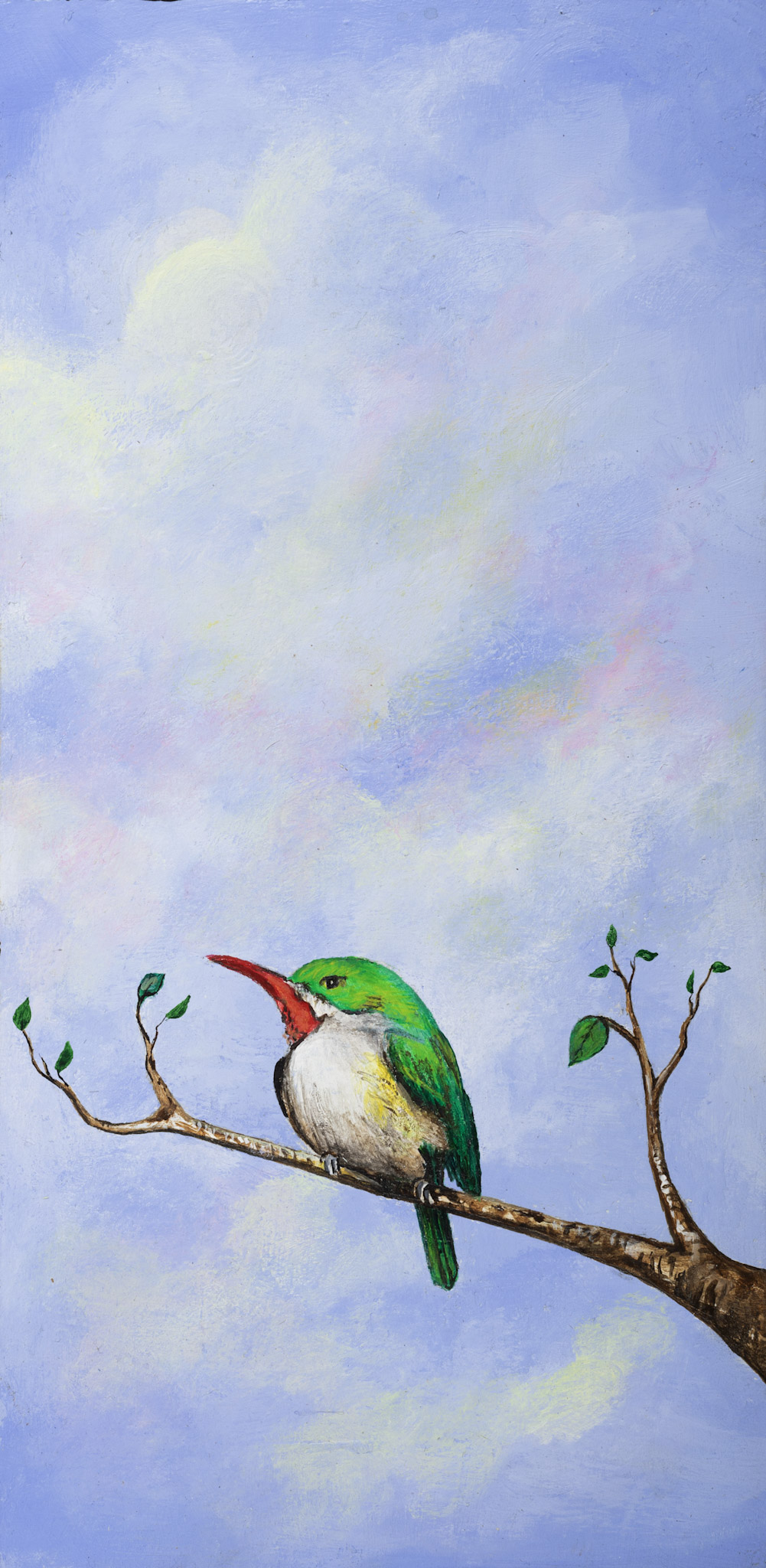 Aves