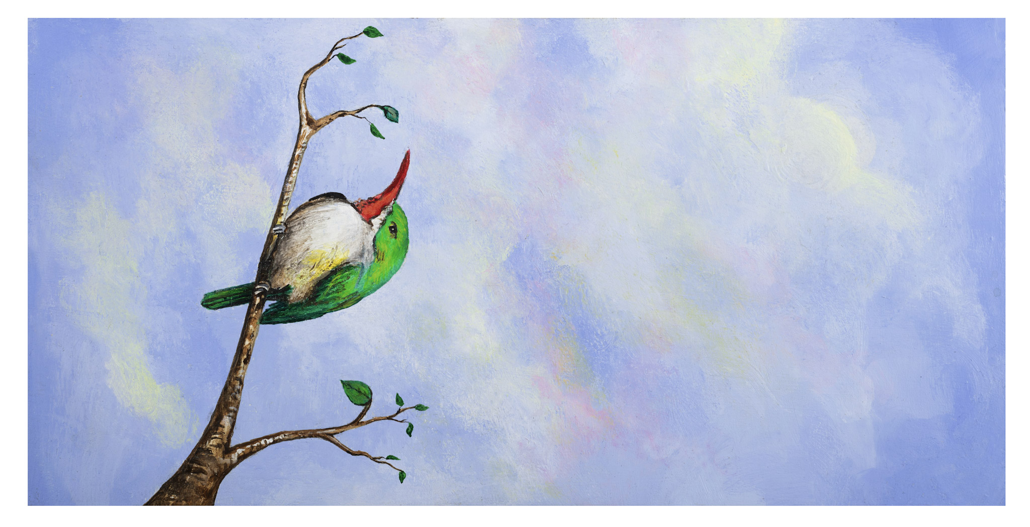 Aves - foto 2