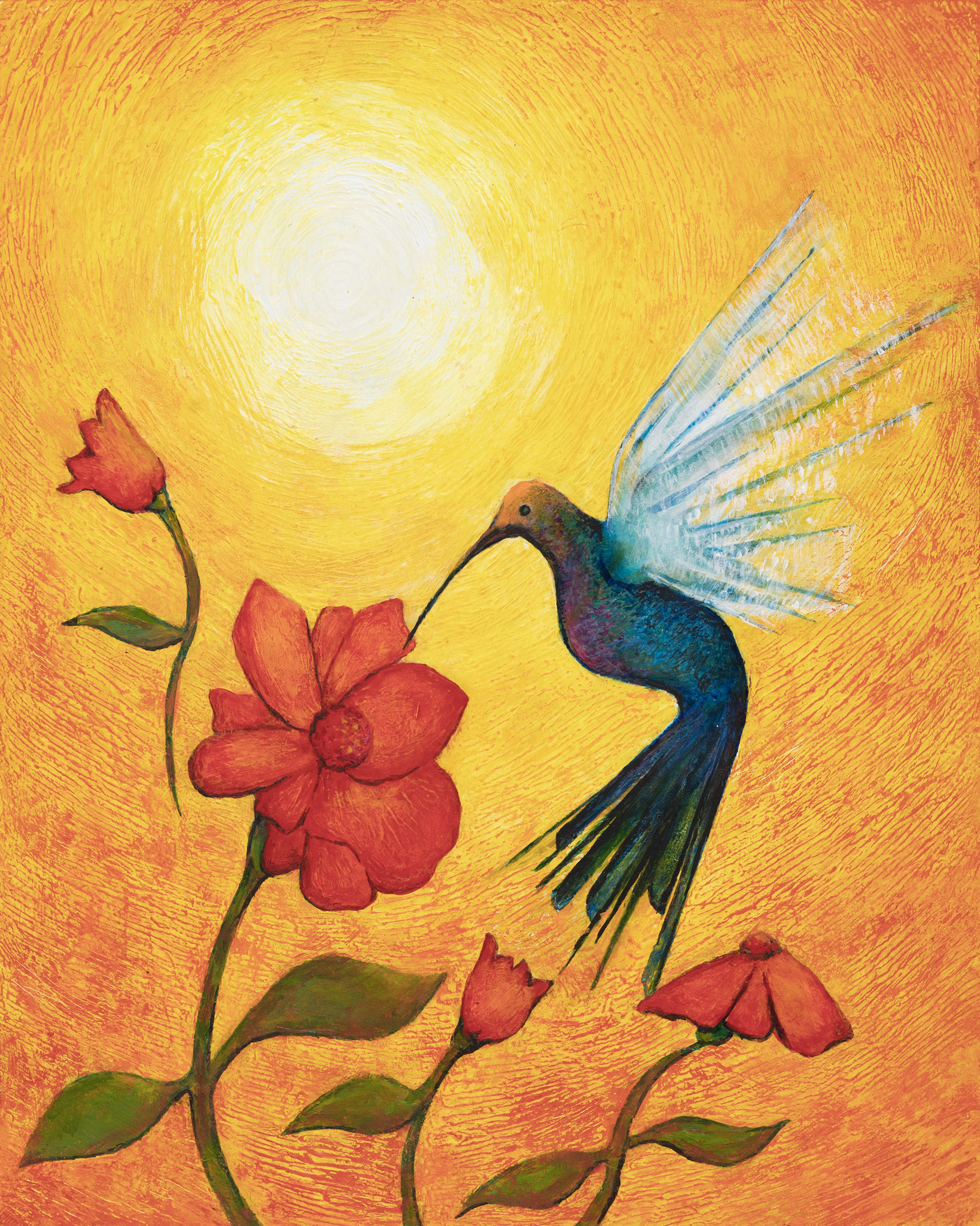 Aves - foto 3