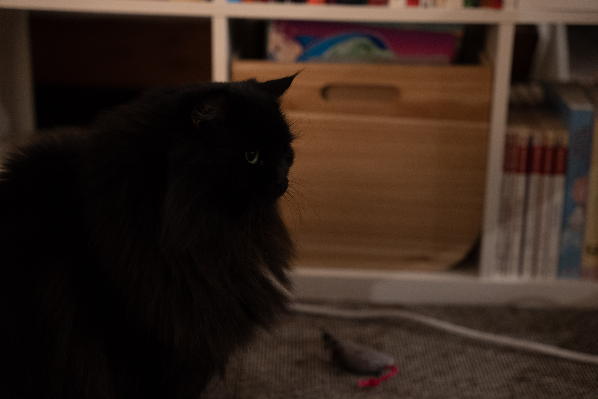 KitKat
