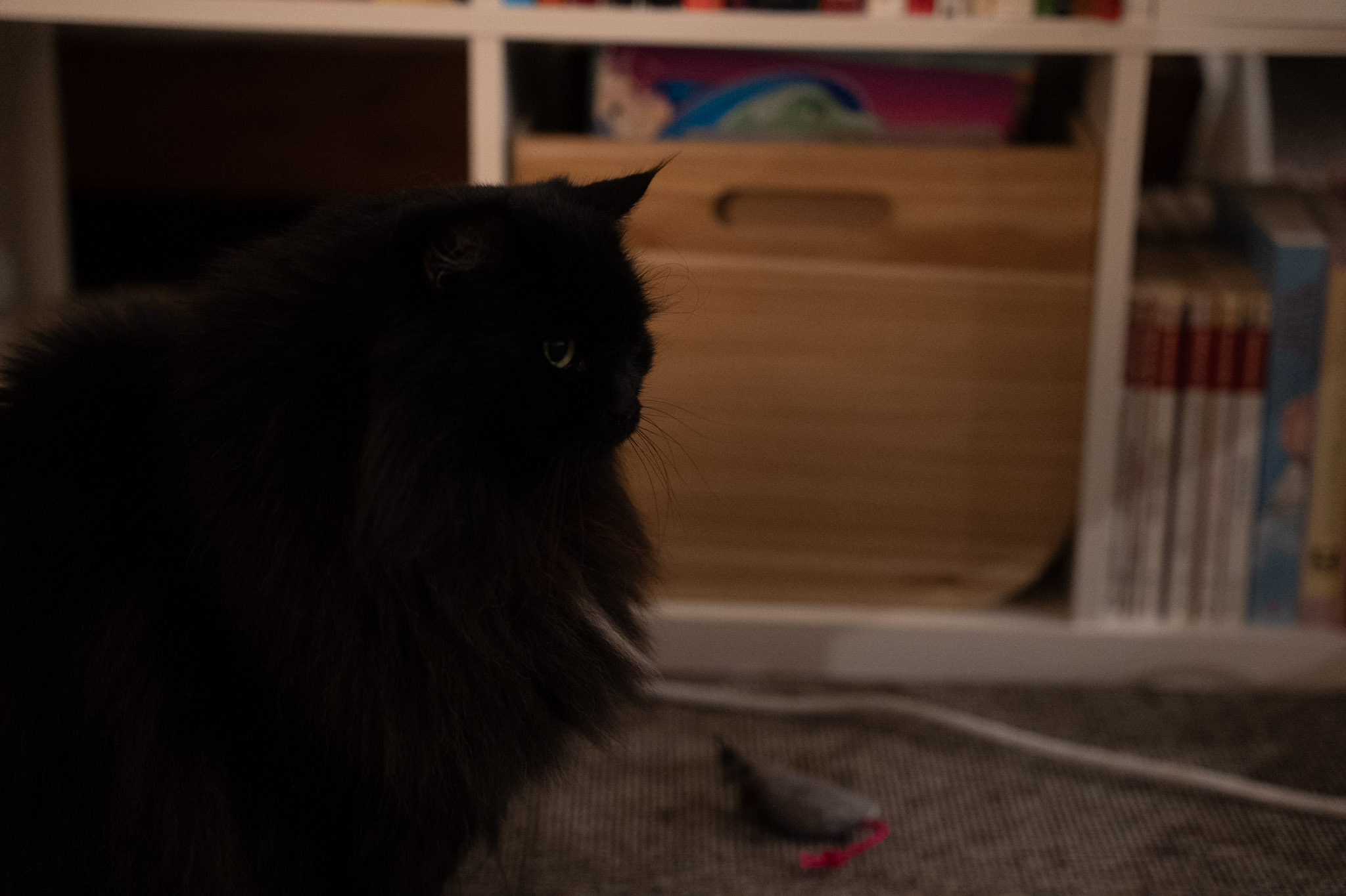 KitKat - foto 2