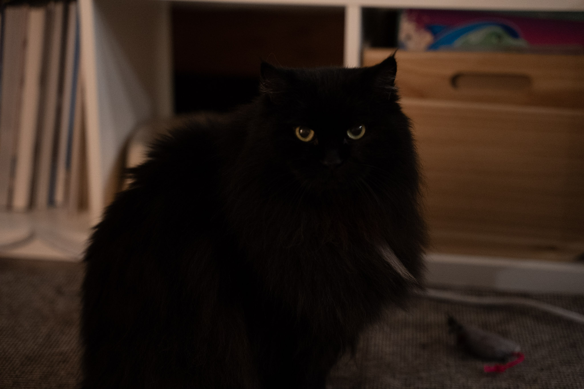 KitKat - foto 3