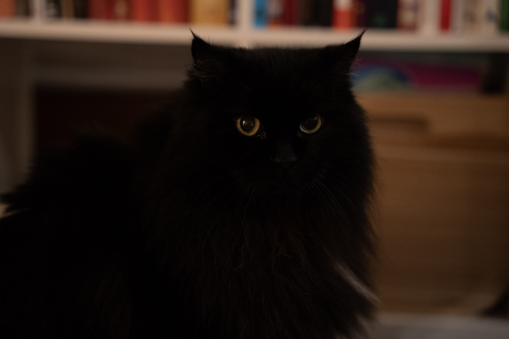 KitKat - foto 9
