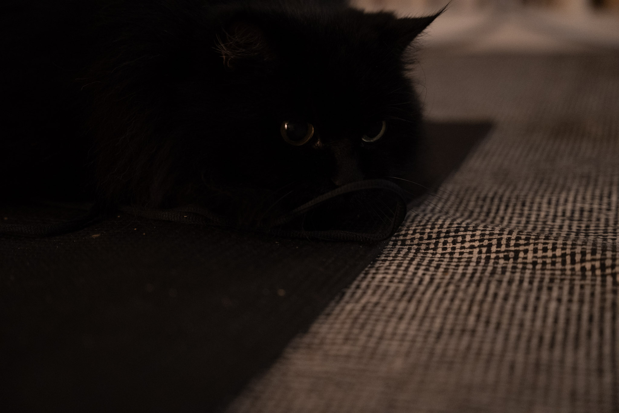 KitKat - foto 11