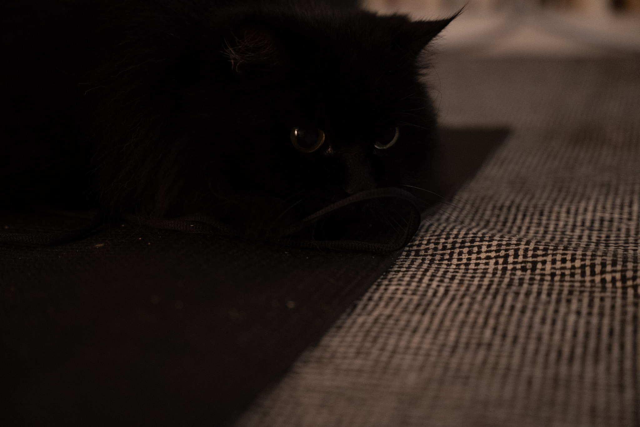 KitKat - foto 12