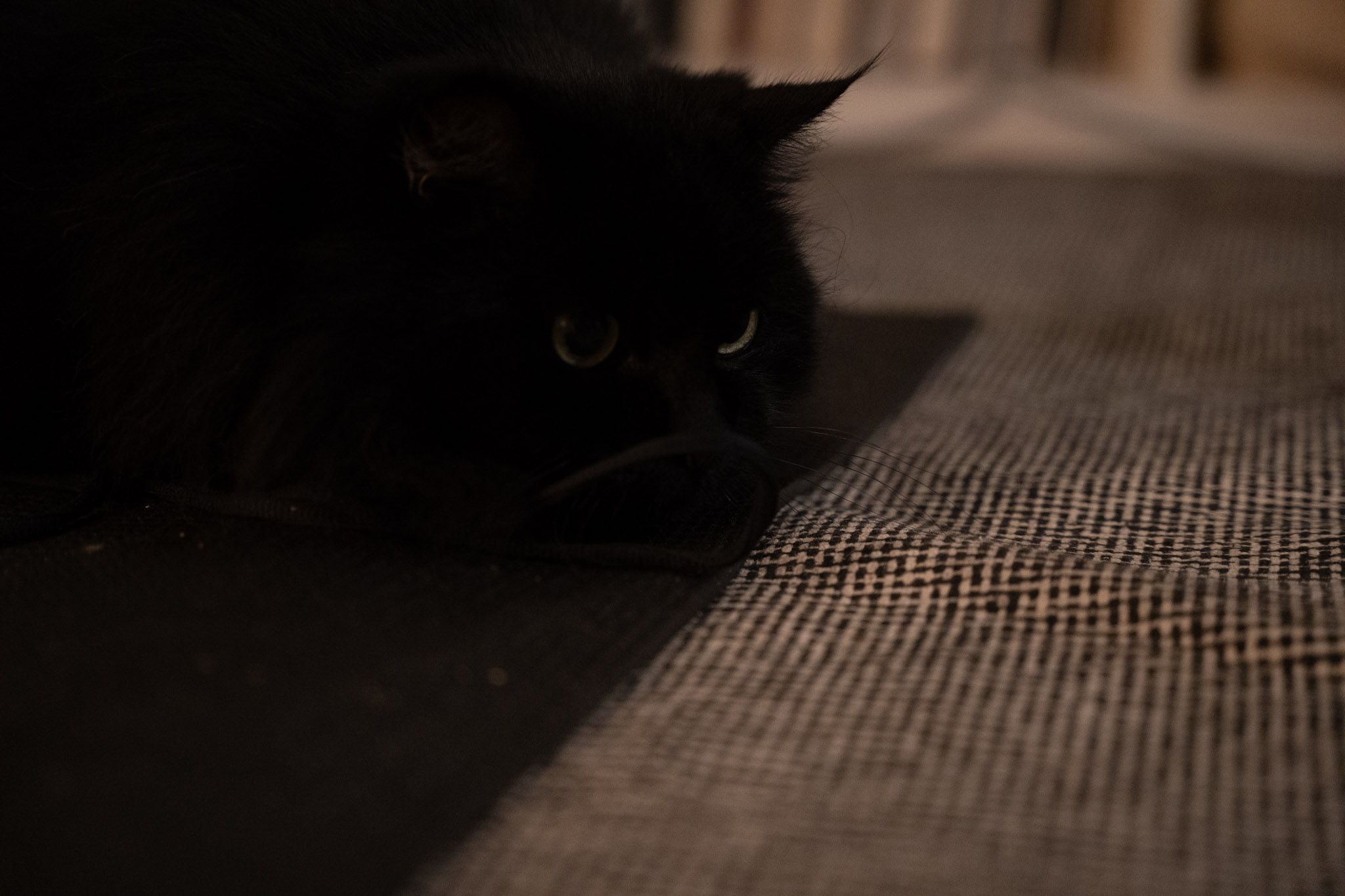 KitKat - foto 13