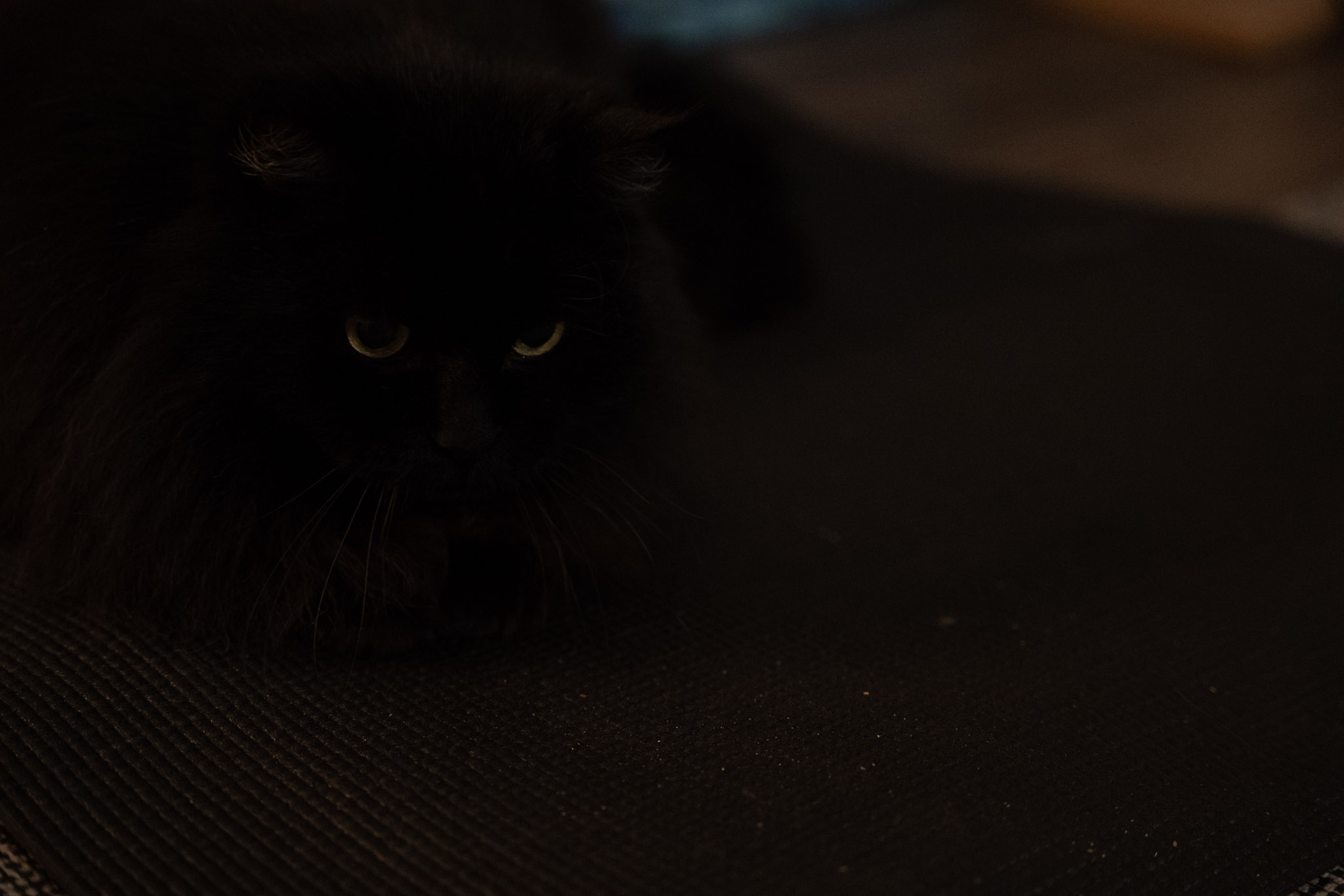 KitKat - foto 15