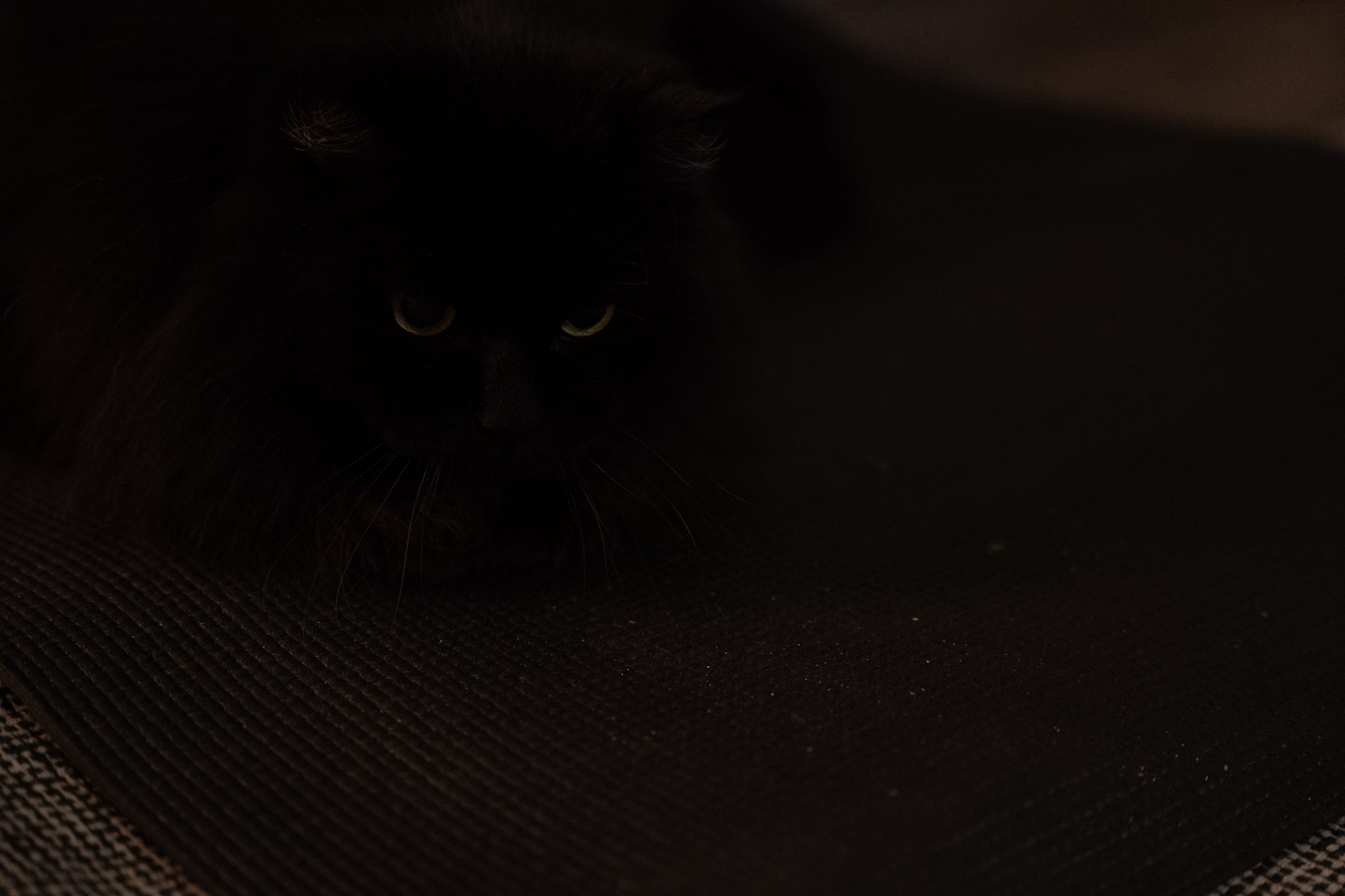 KitKat - foto 18