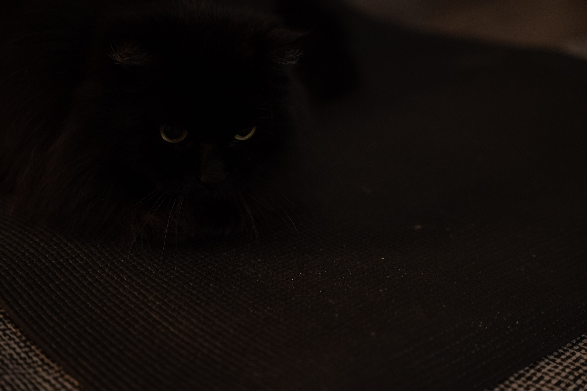 KitKat - foto 19