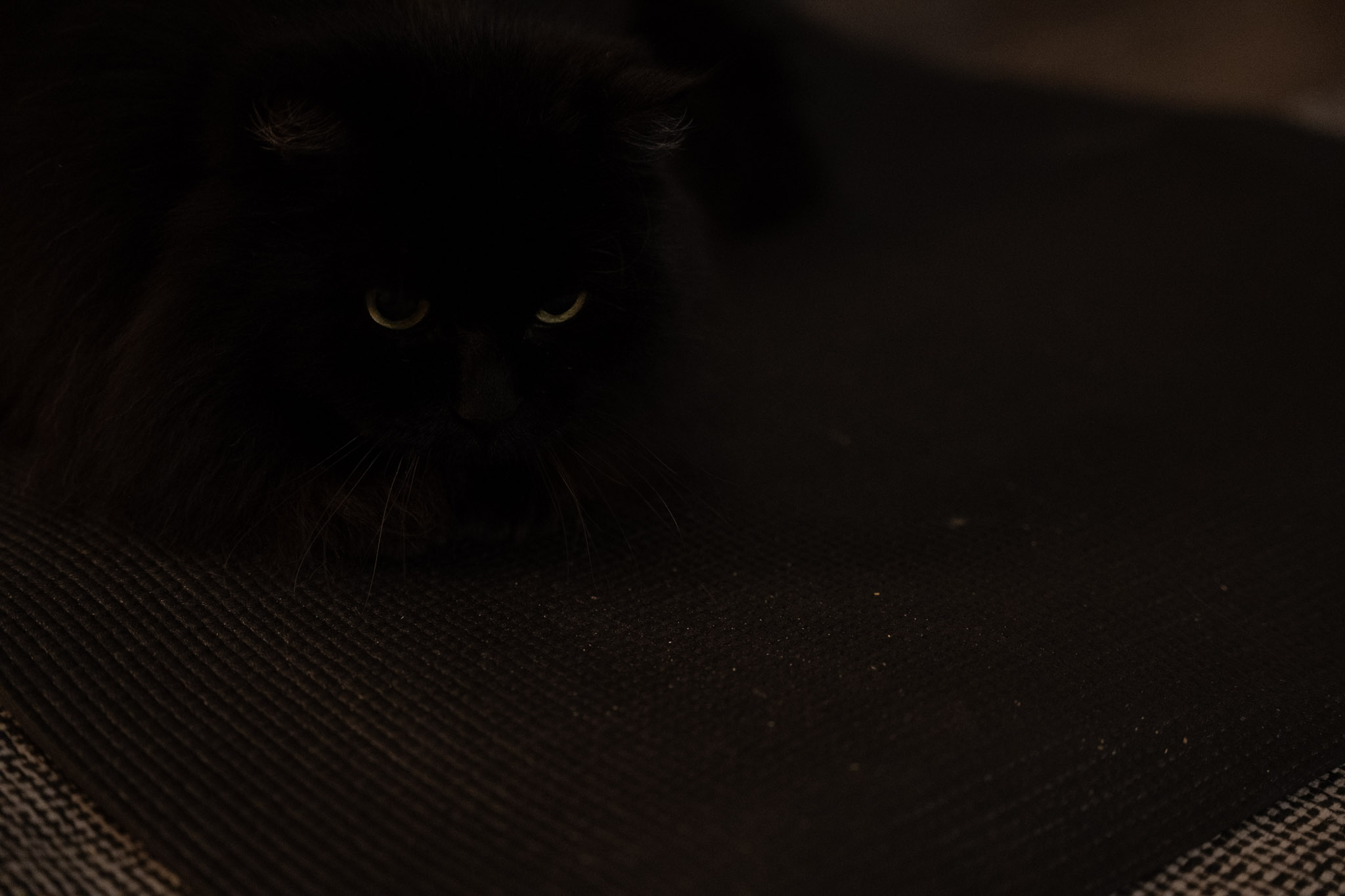 KitKat - foto 20