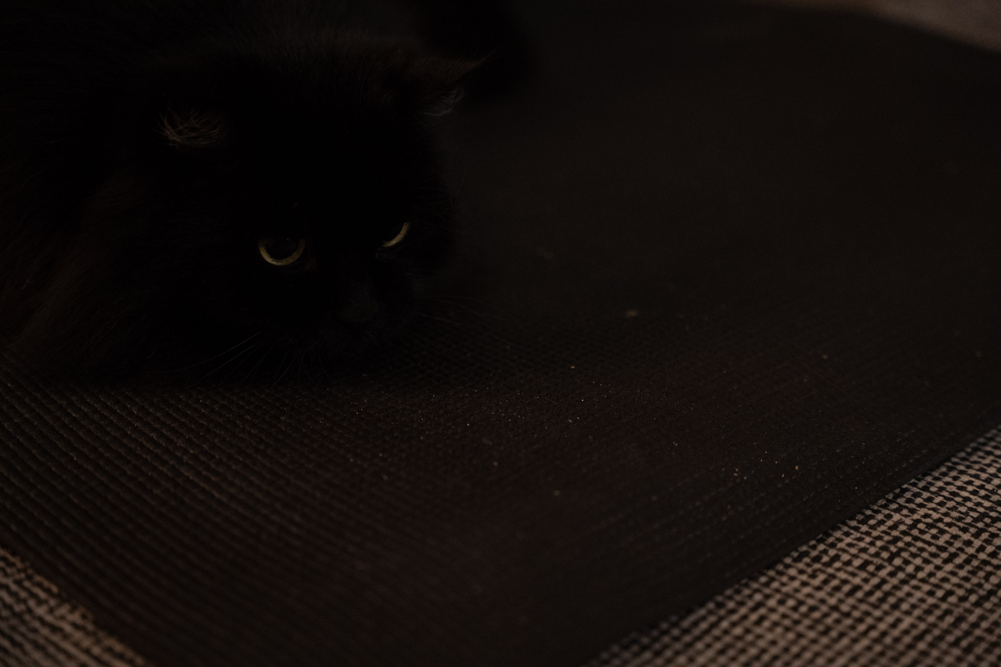 KitKat - foto 22