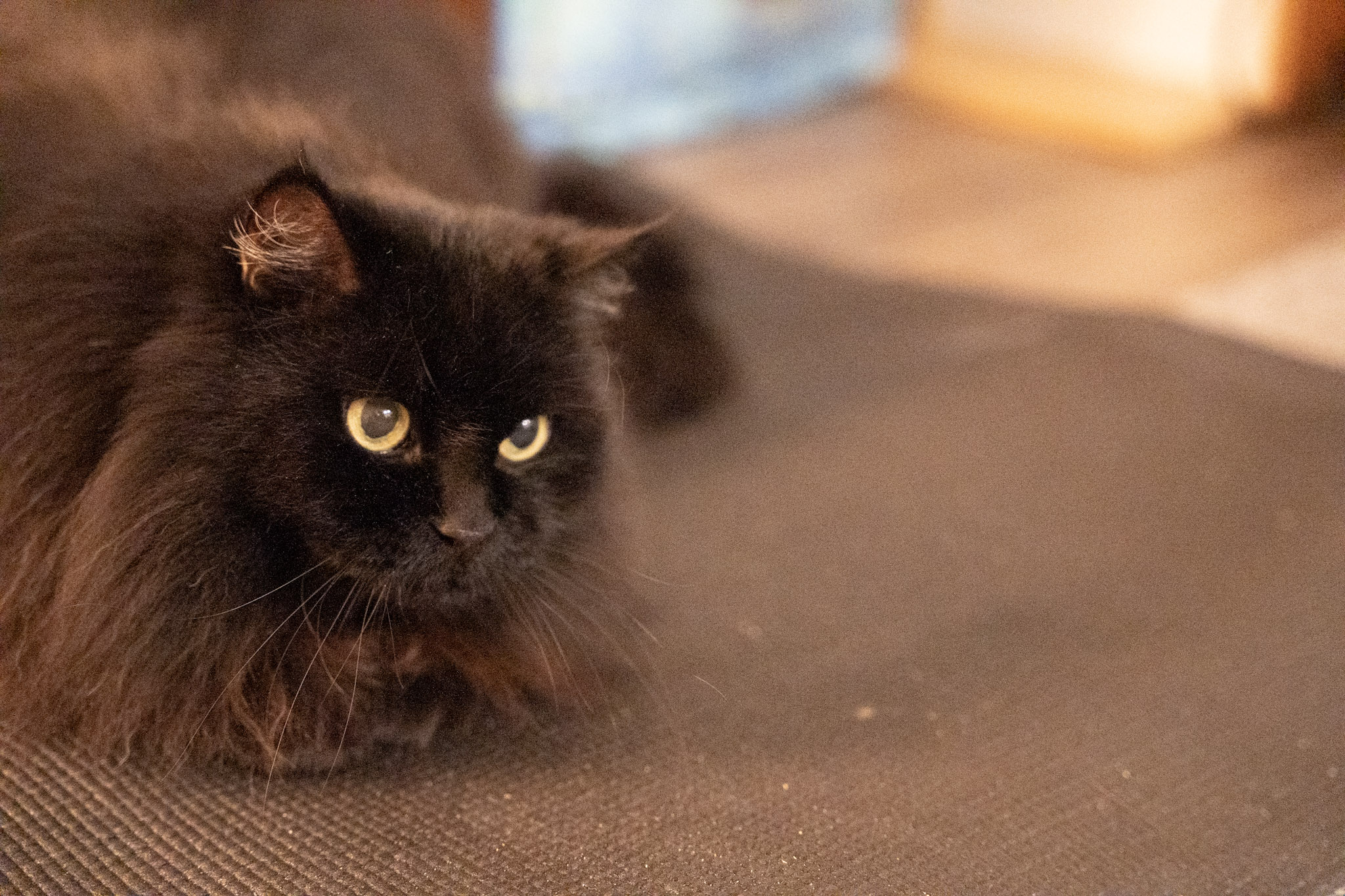 KitKat - foto 24