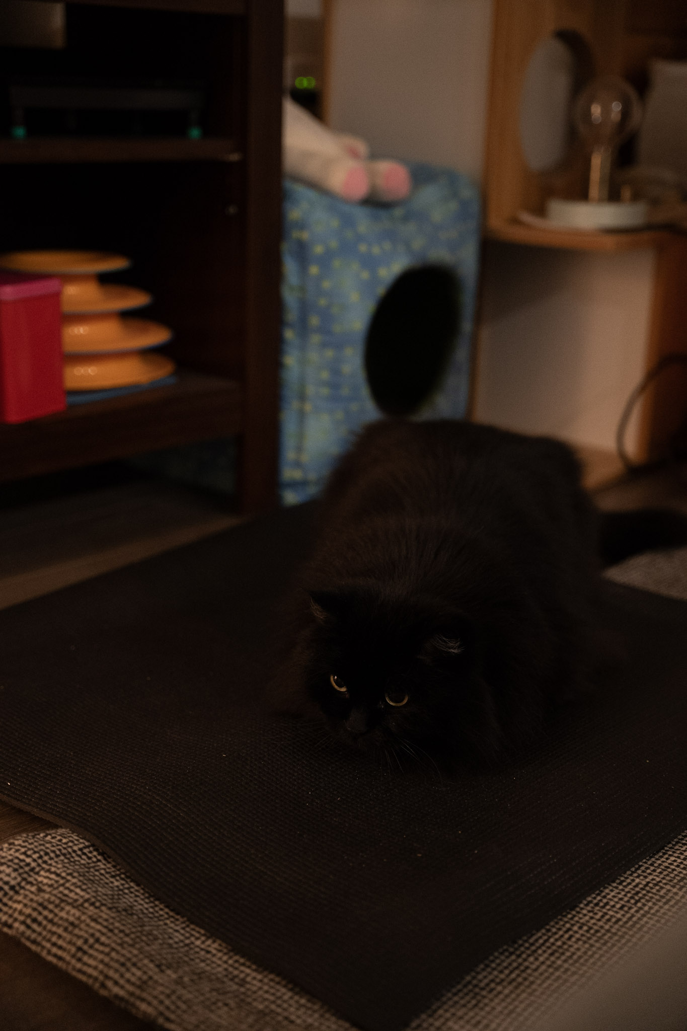 KitKat - foto 26