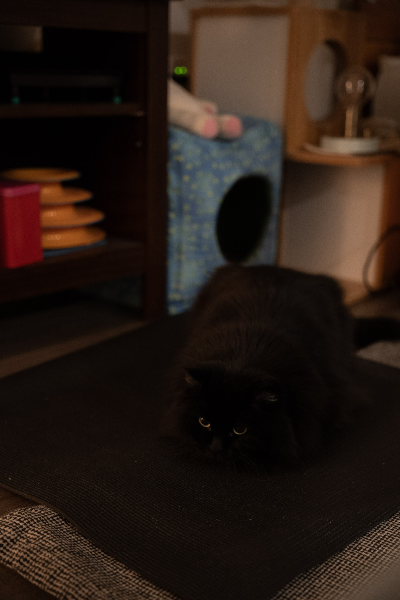 KitKat - foto 27