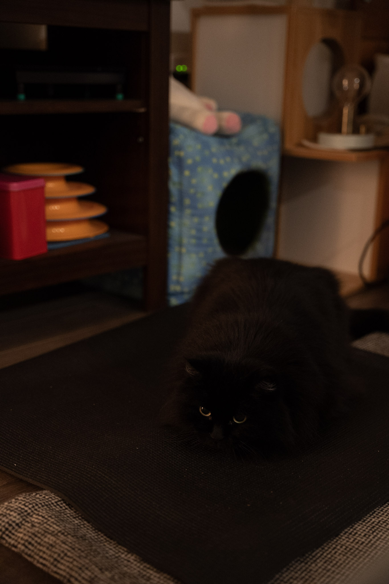KitKat - foto 28