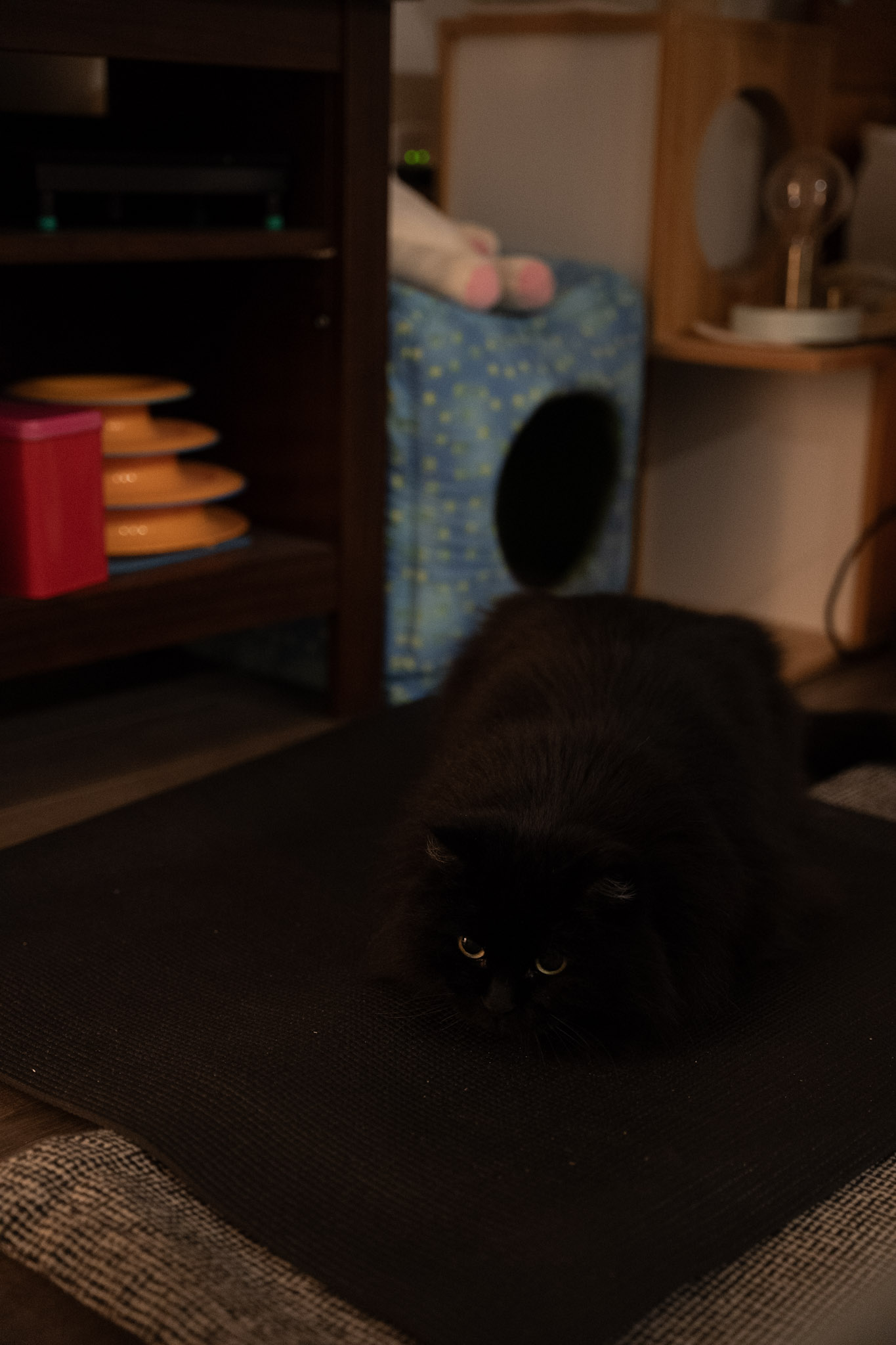 KitKat - foto 29