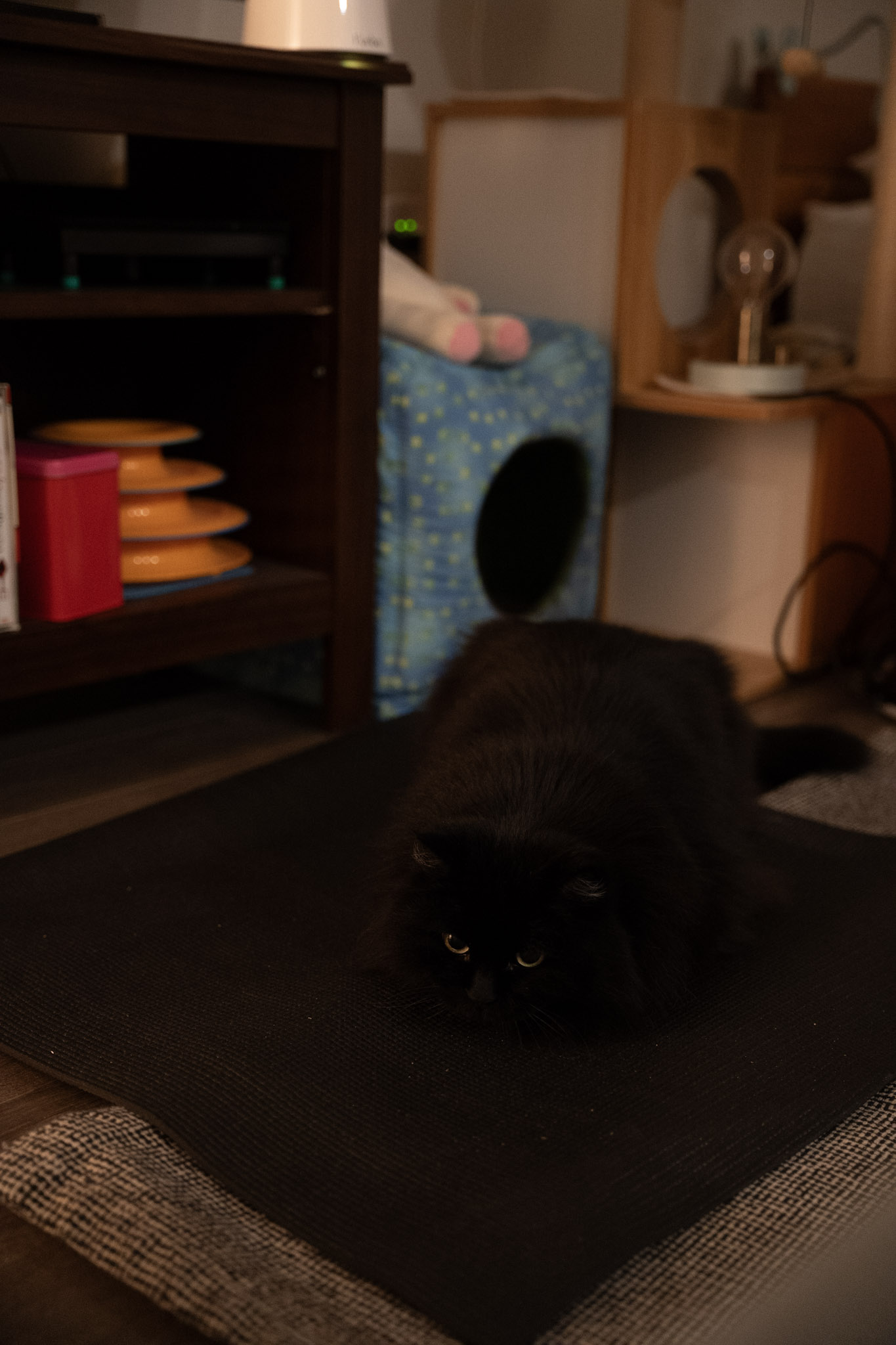 KitKat - foto 31