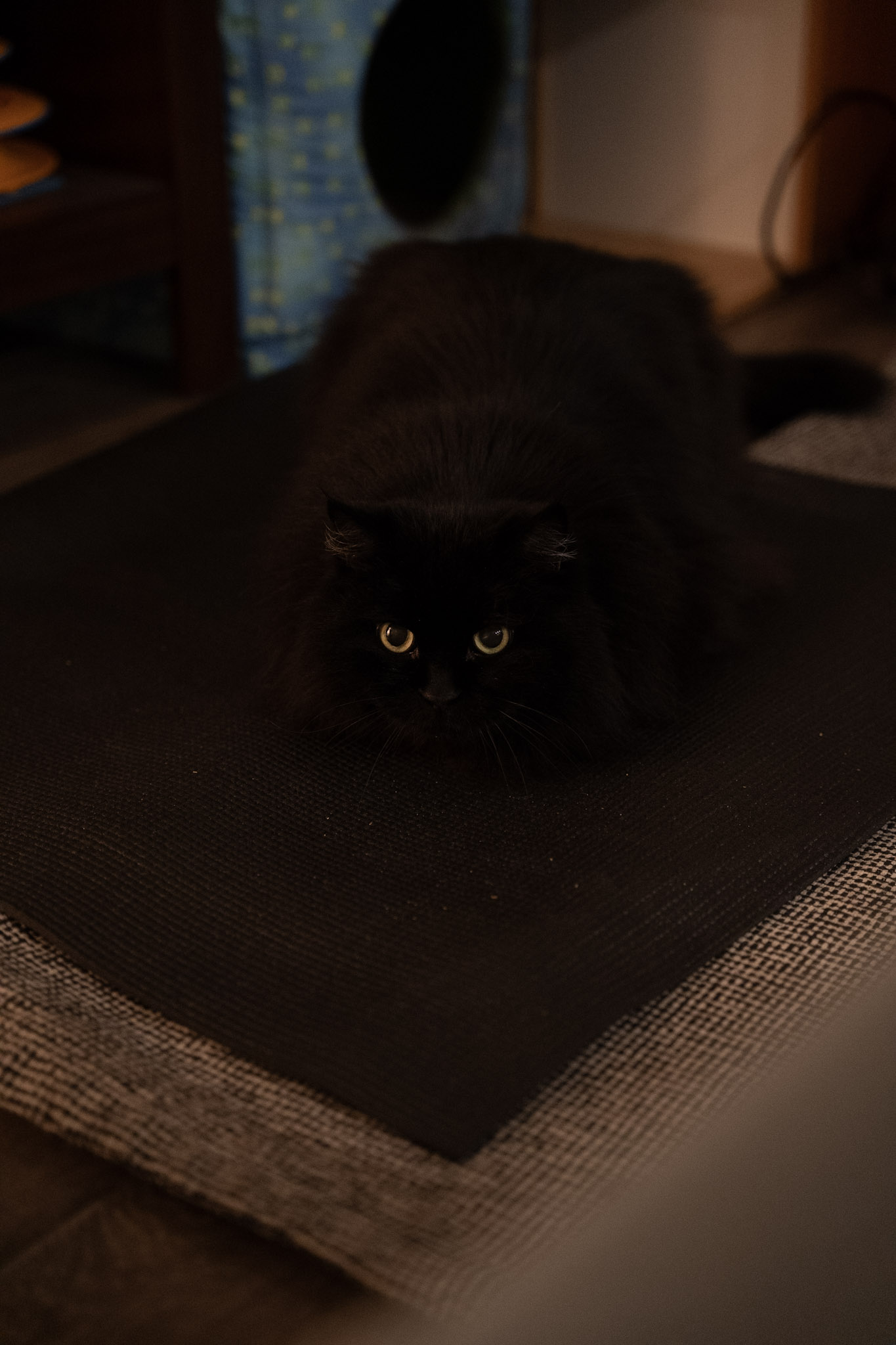 KitKat - foto 36