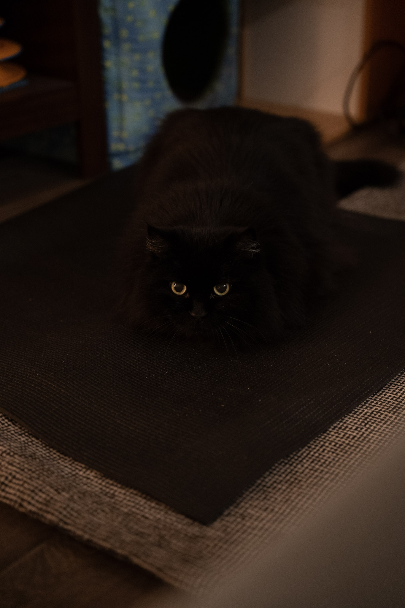KitKat - foto 37