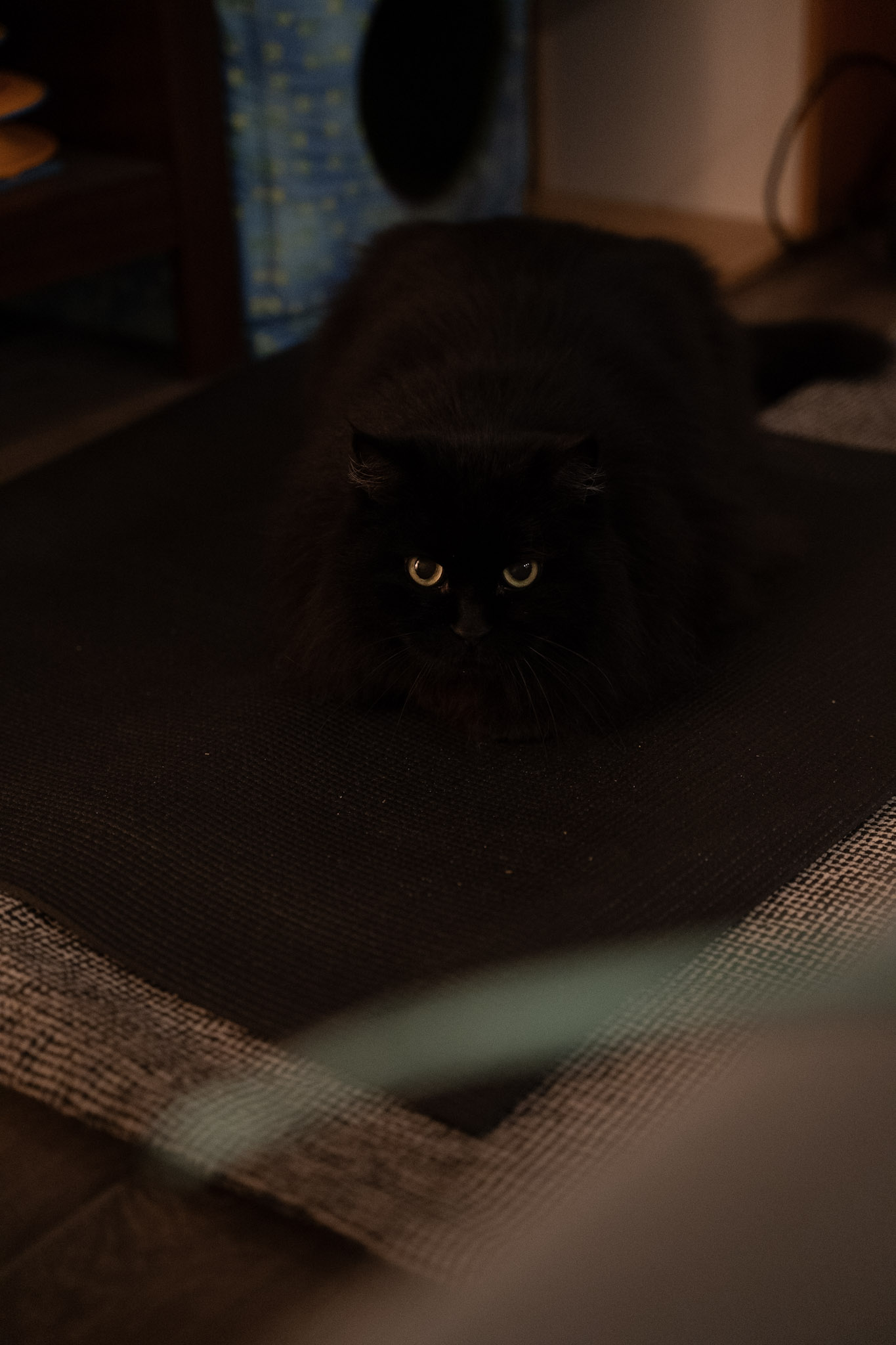 KitKat - foto 38