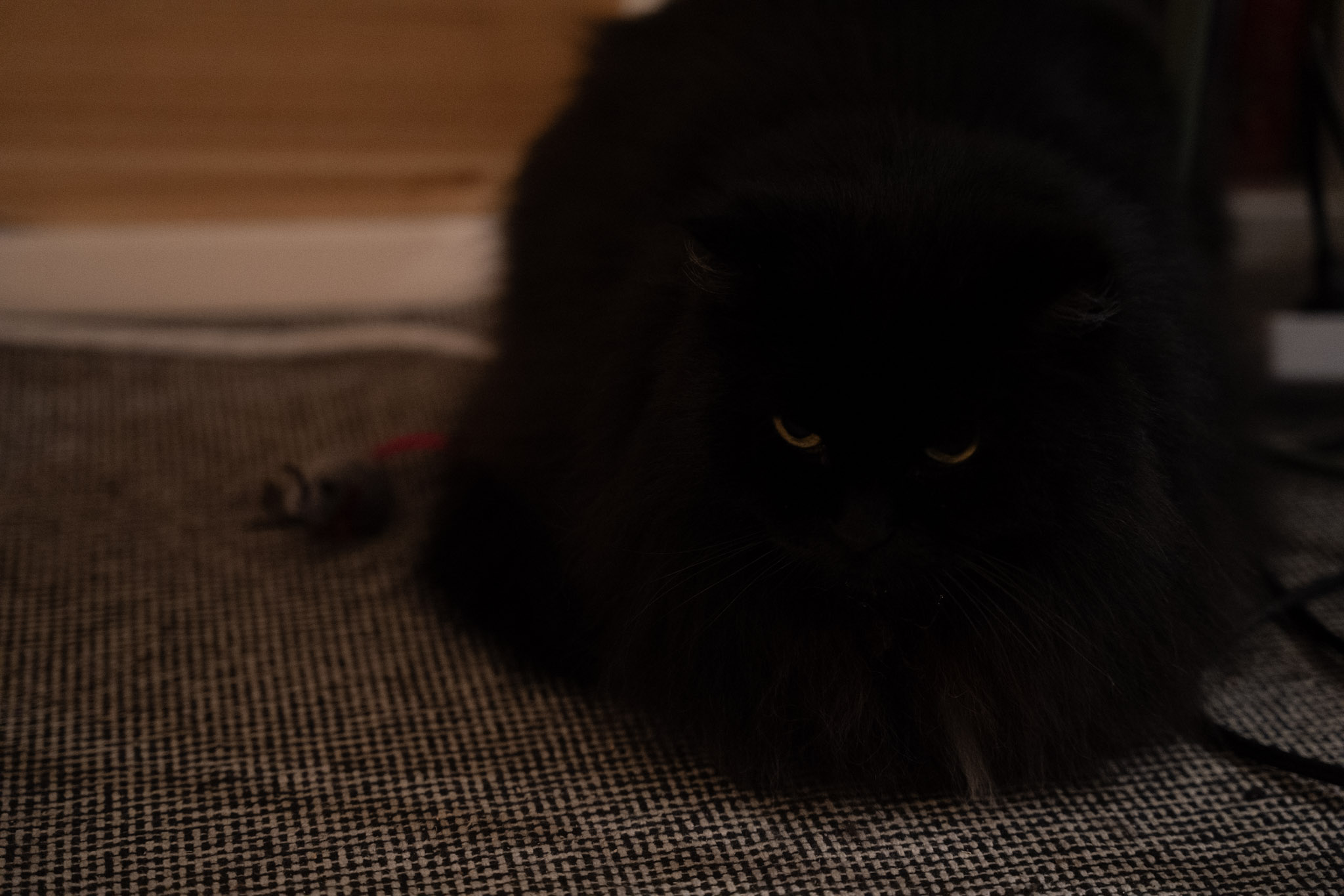 KitKat - foto 40
