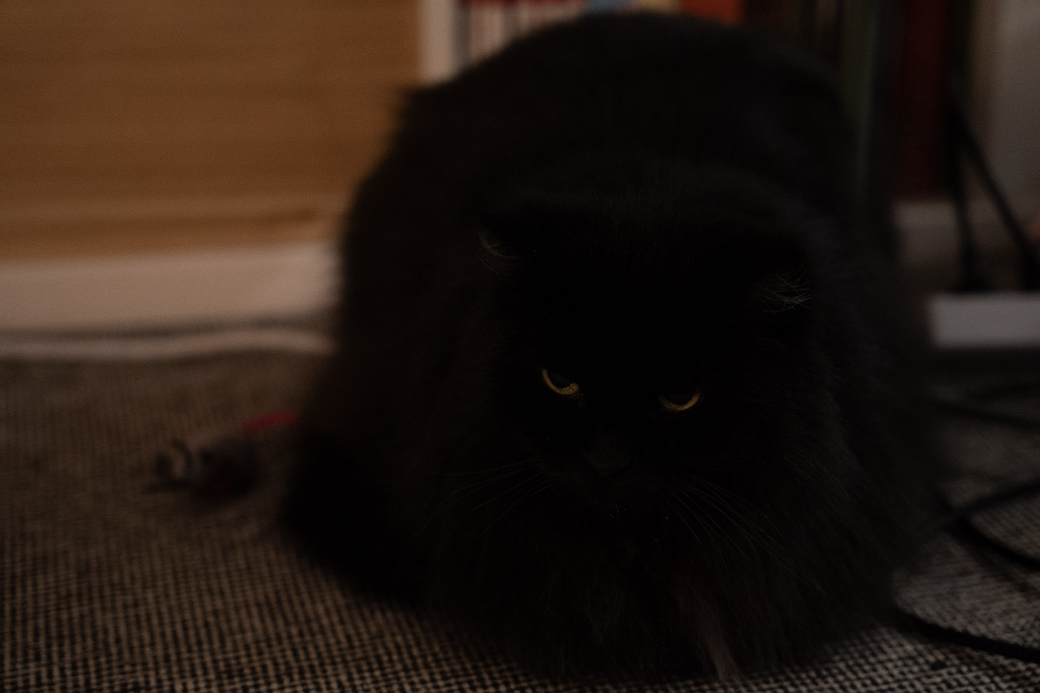 KitKat - foto 41