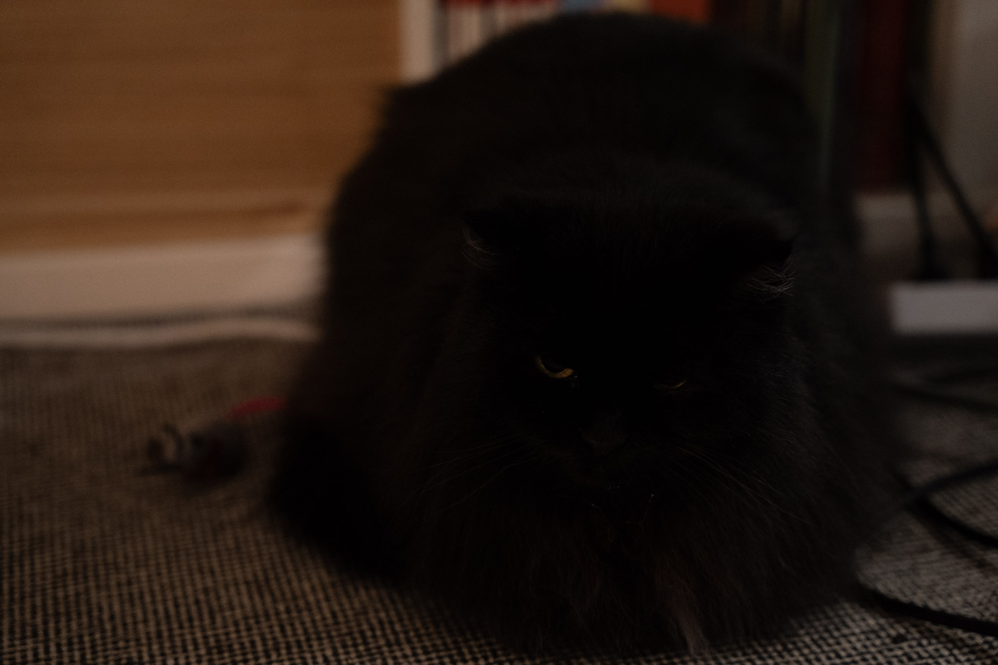 KitKat - foto 42
