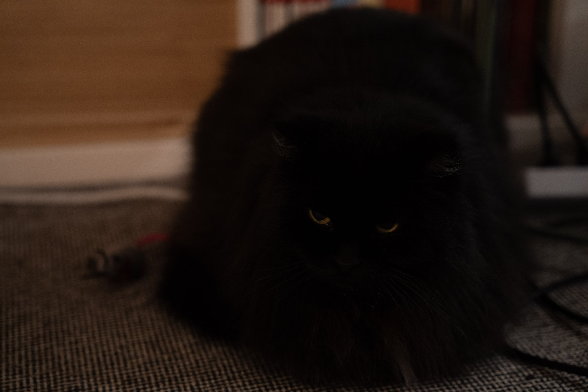 KitKat - foto 43