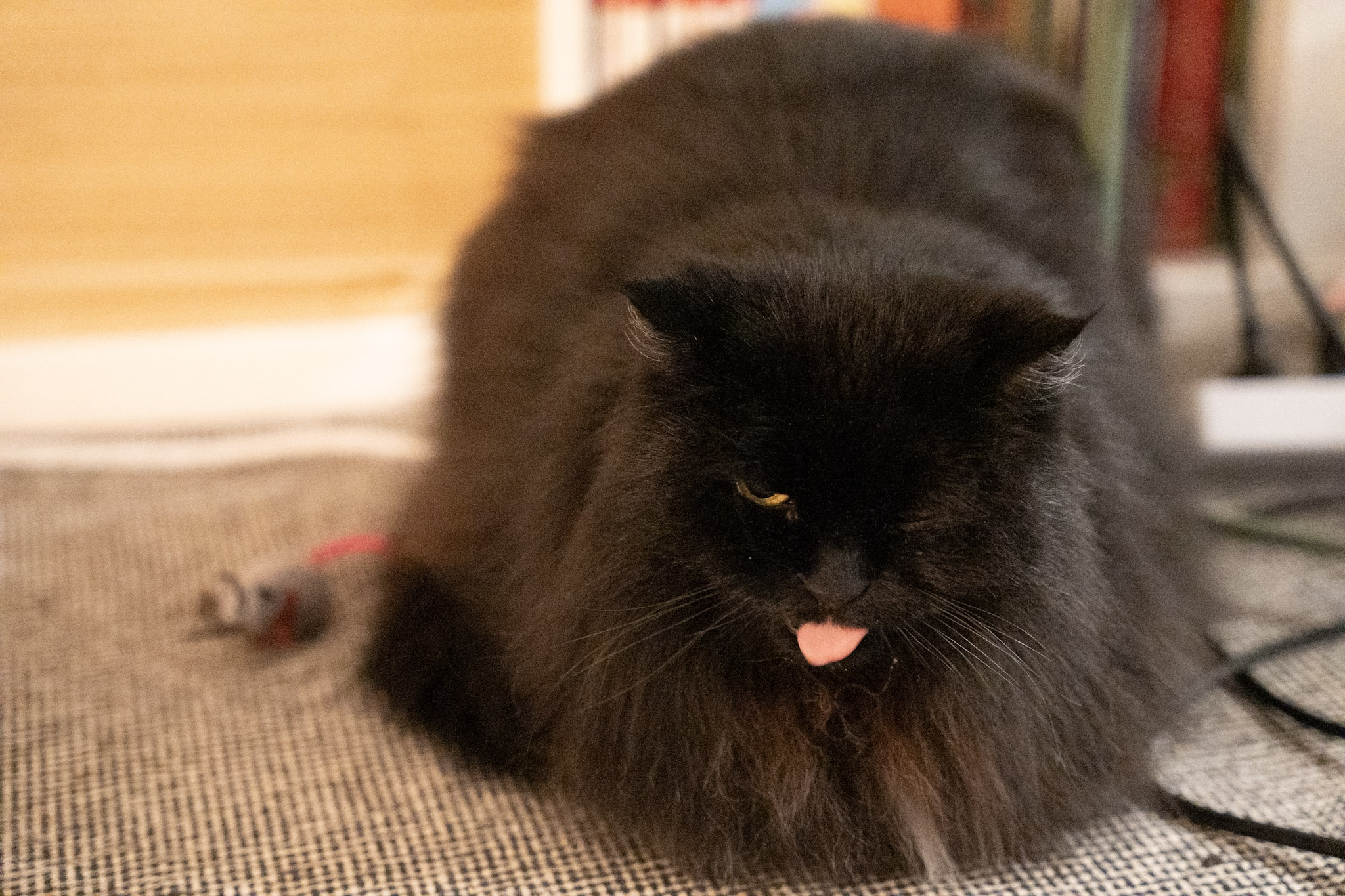 KitKat - foto 44