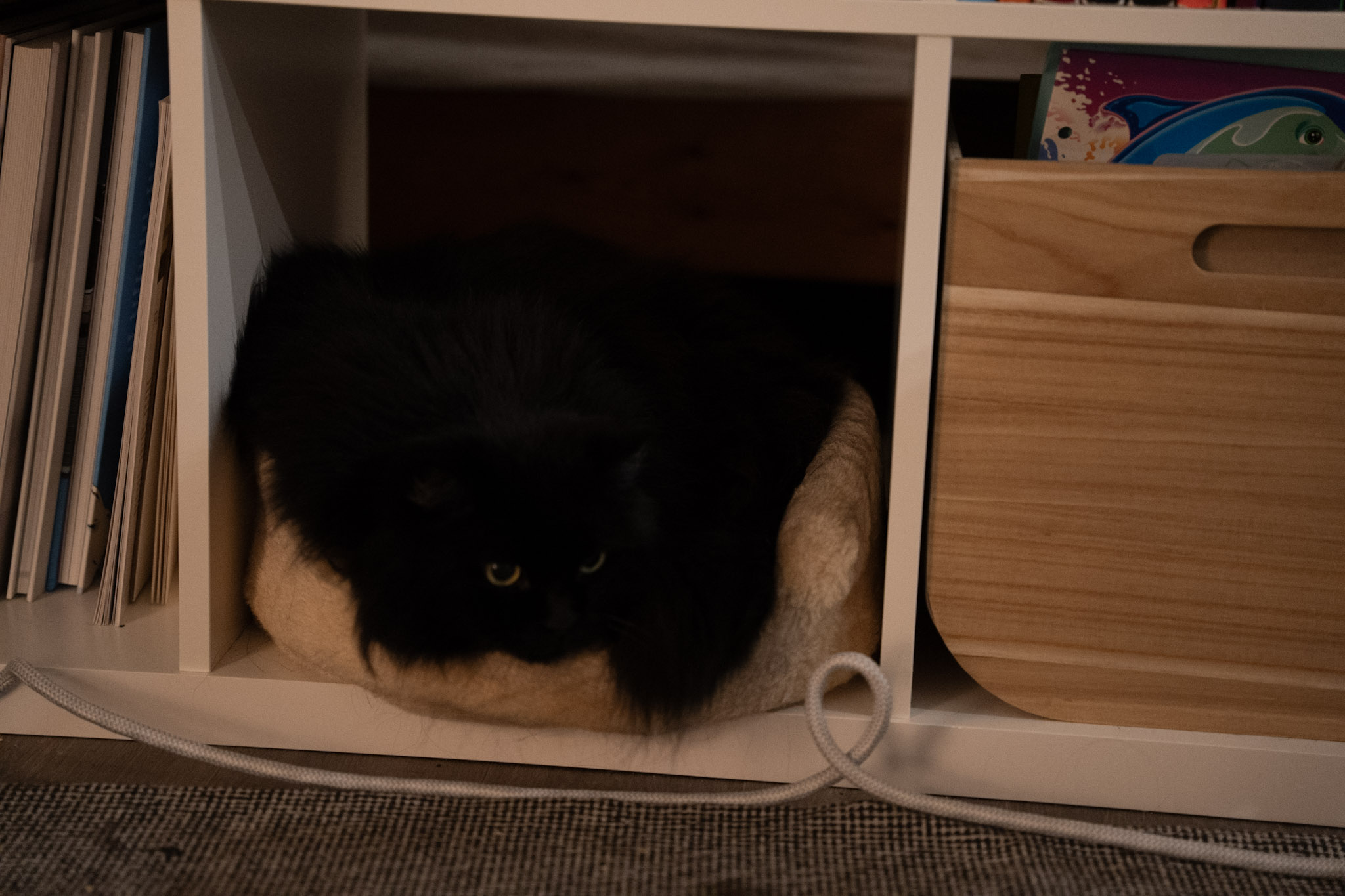 KitKat - foto 45