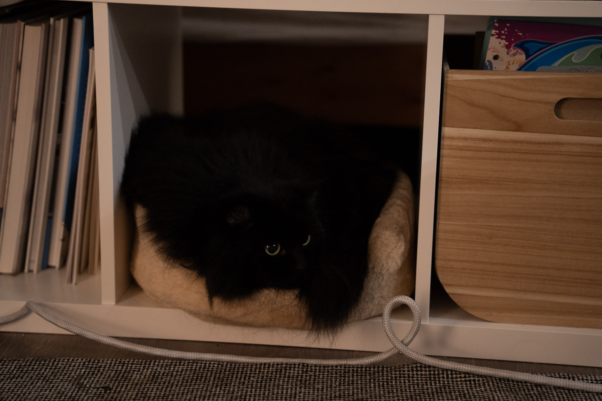 KitKat - foto 46