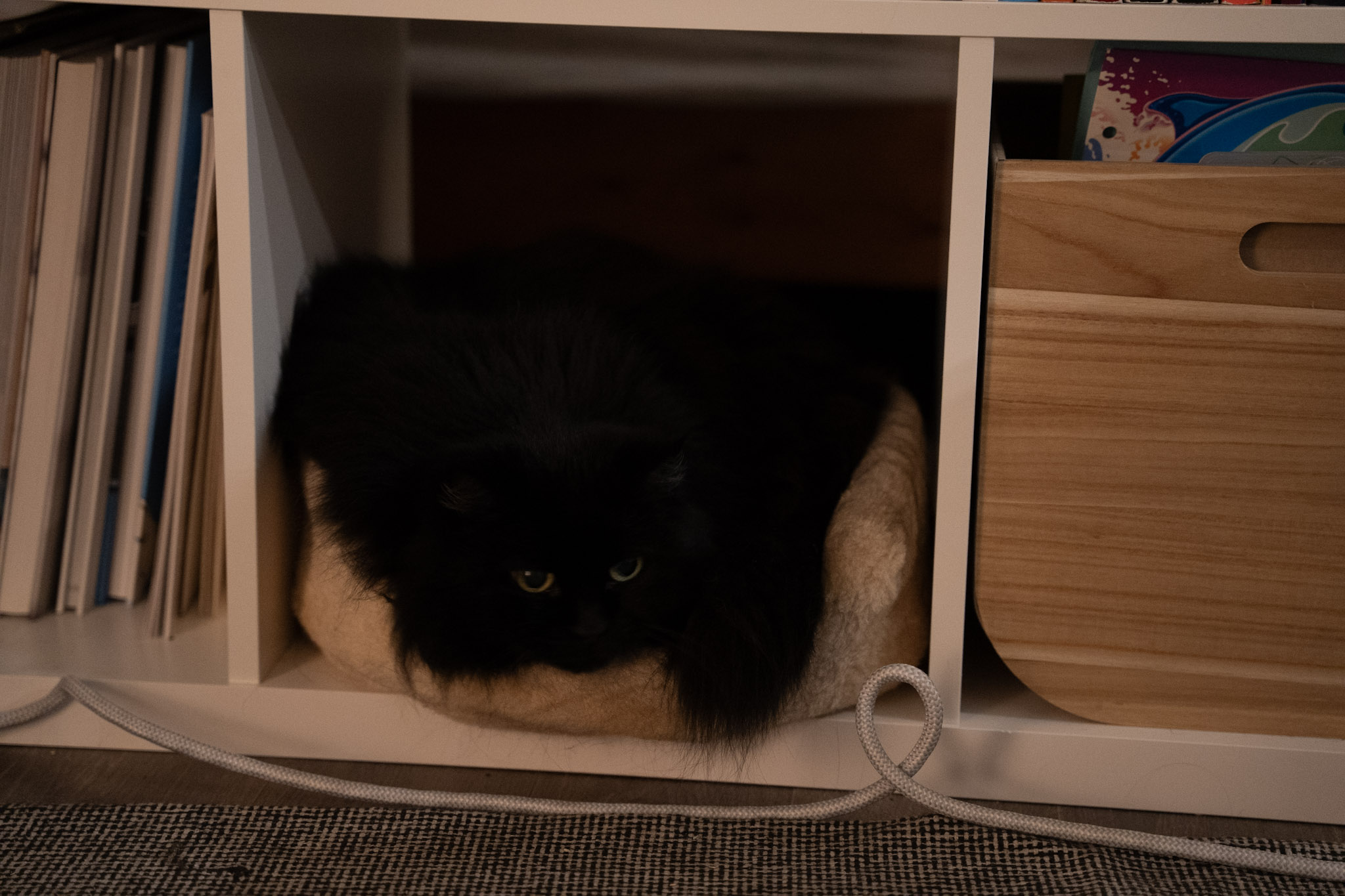 KitKat - foto 47