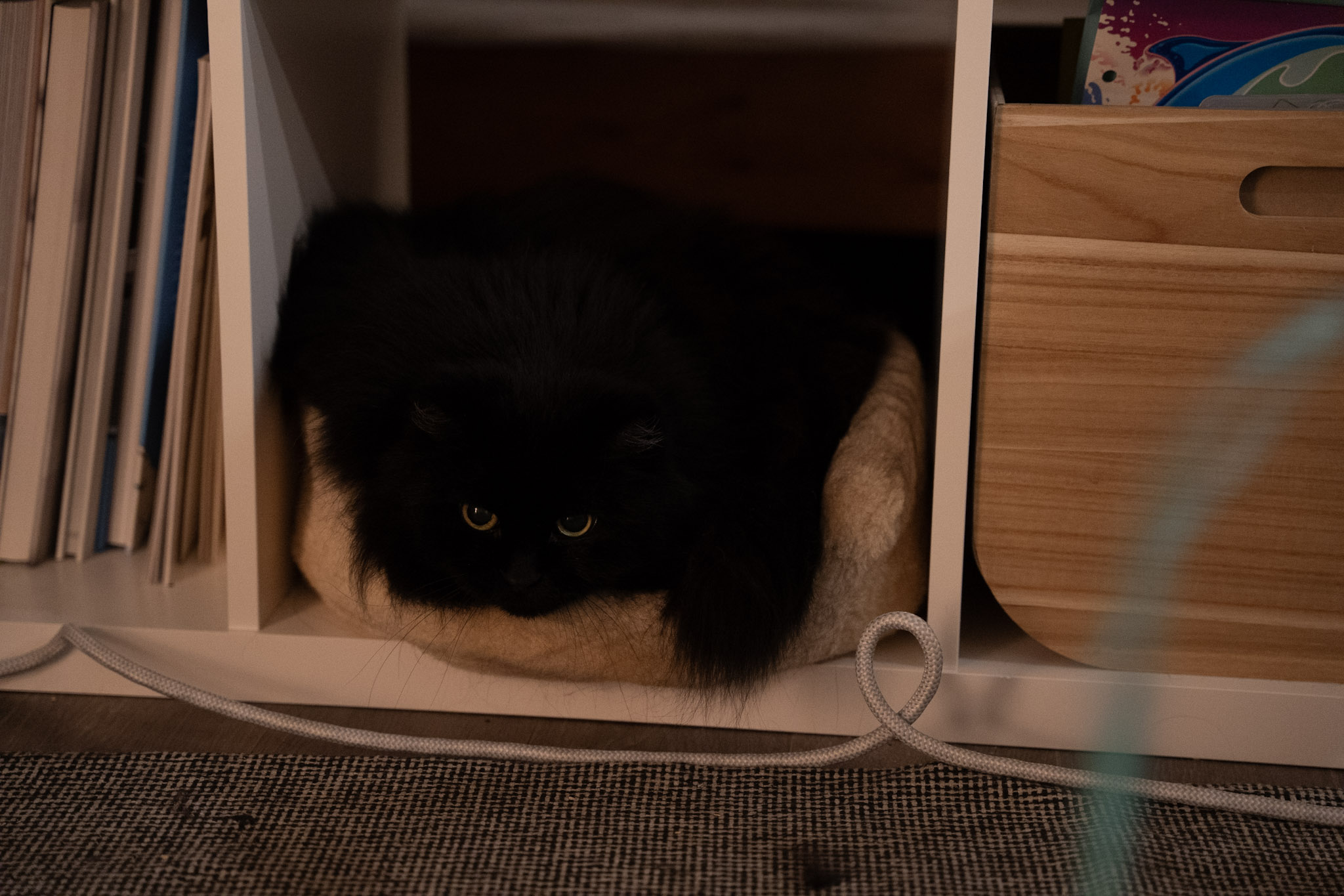 KitKat - foto 51