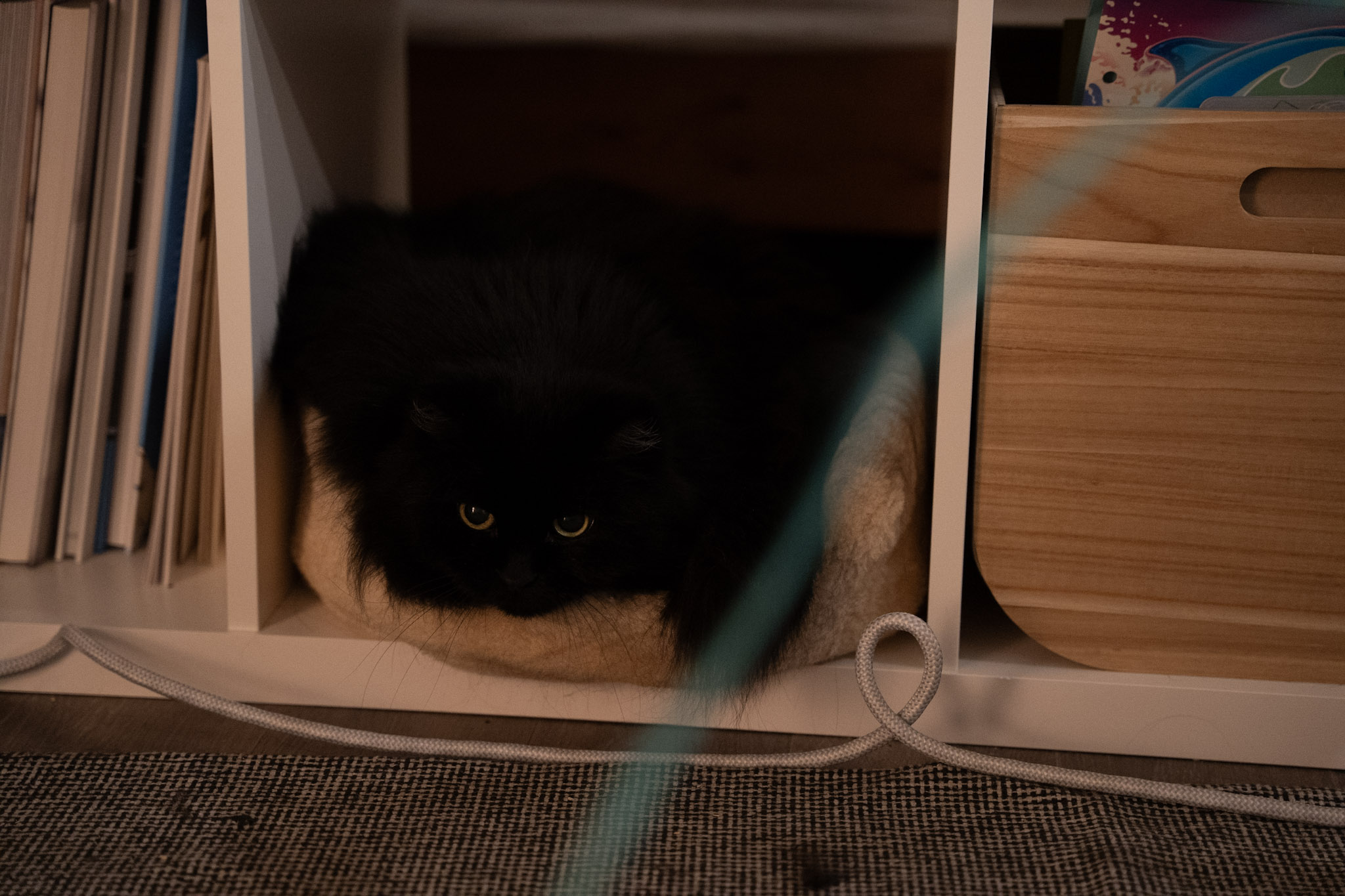 KitKat - foto 52