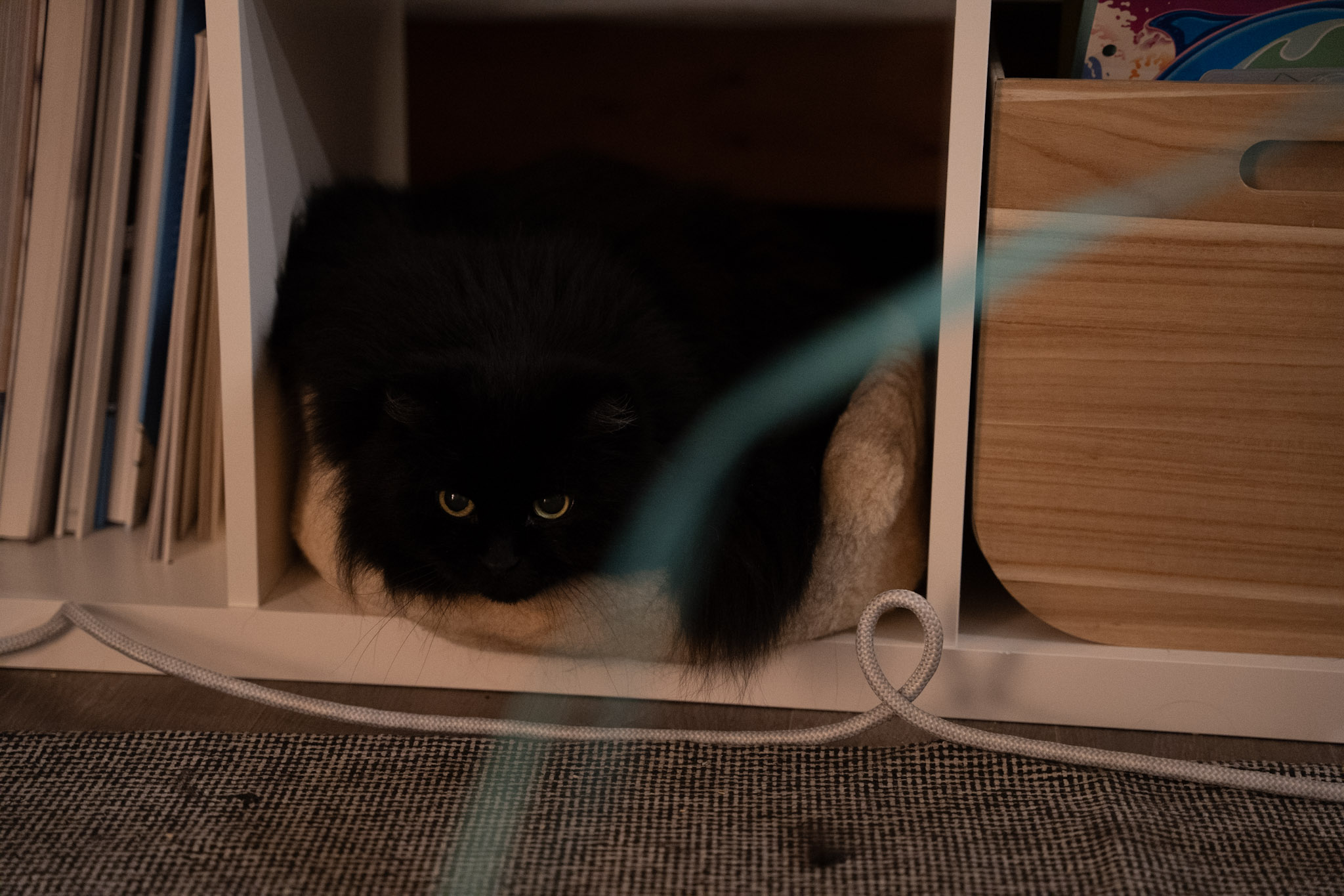 KitKat - foto 53