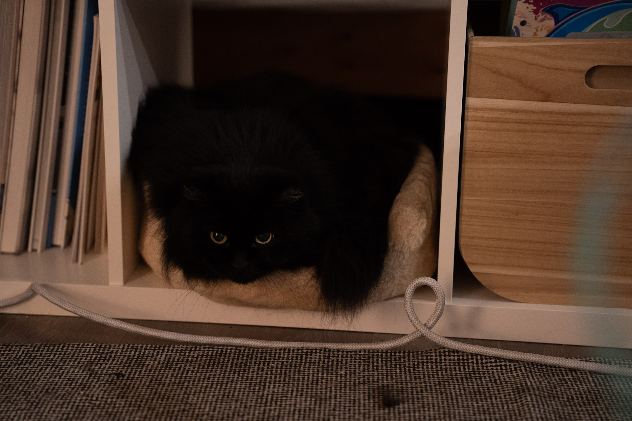 KitKat - foto 54