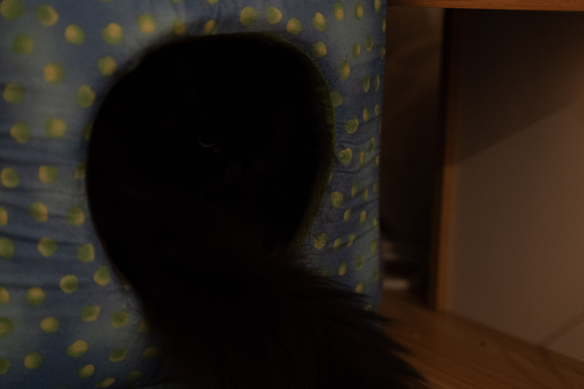 KitKat - foto 55