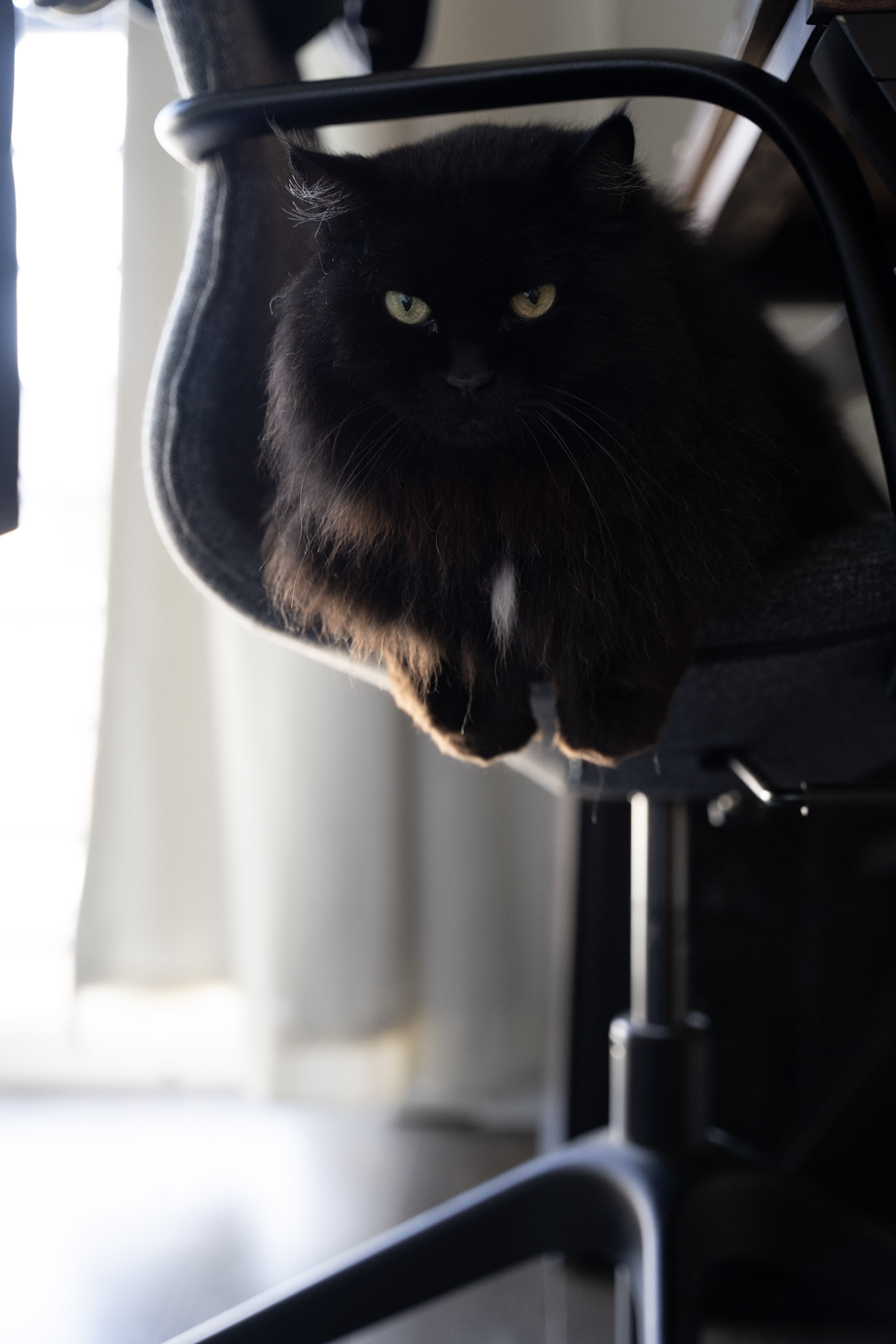 KitKat - foto 70