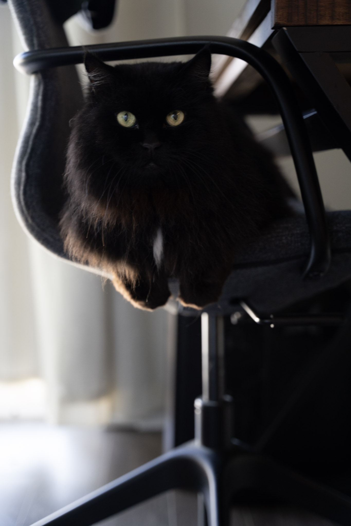KitKat - foto 80