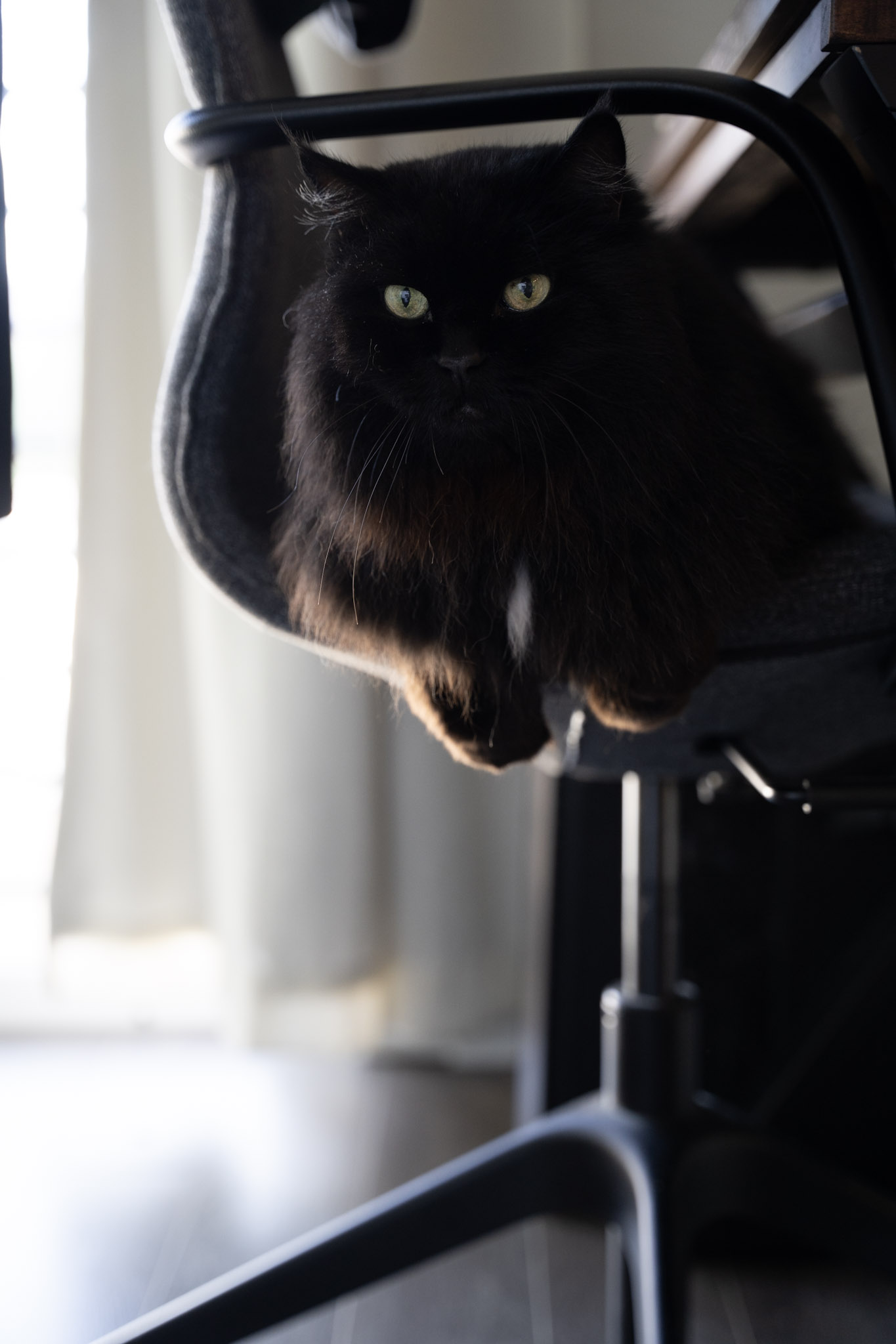 KitKat - foto 85
